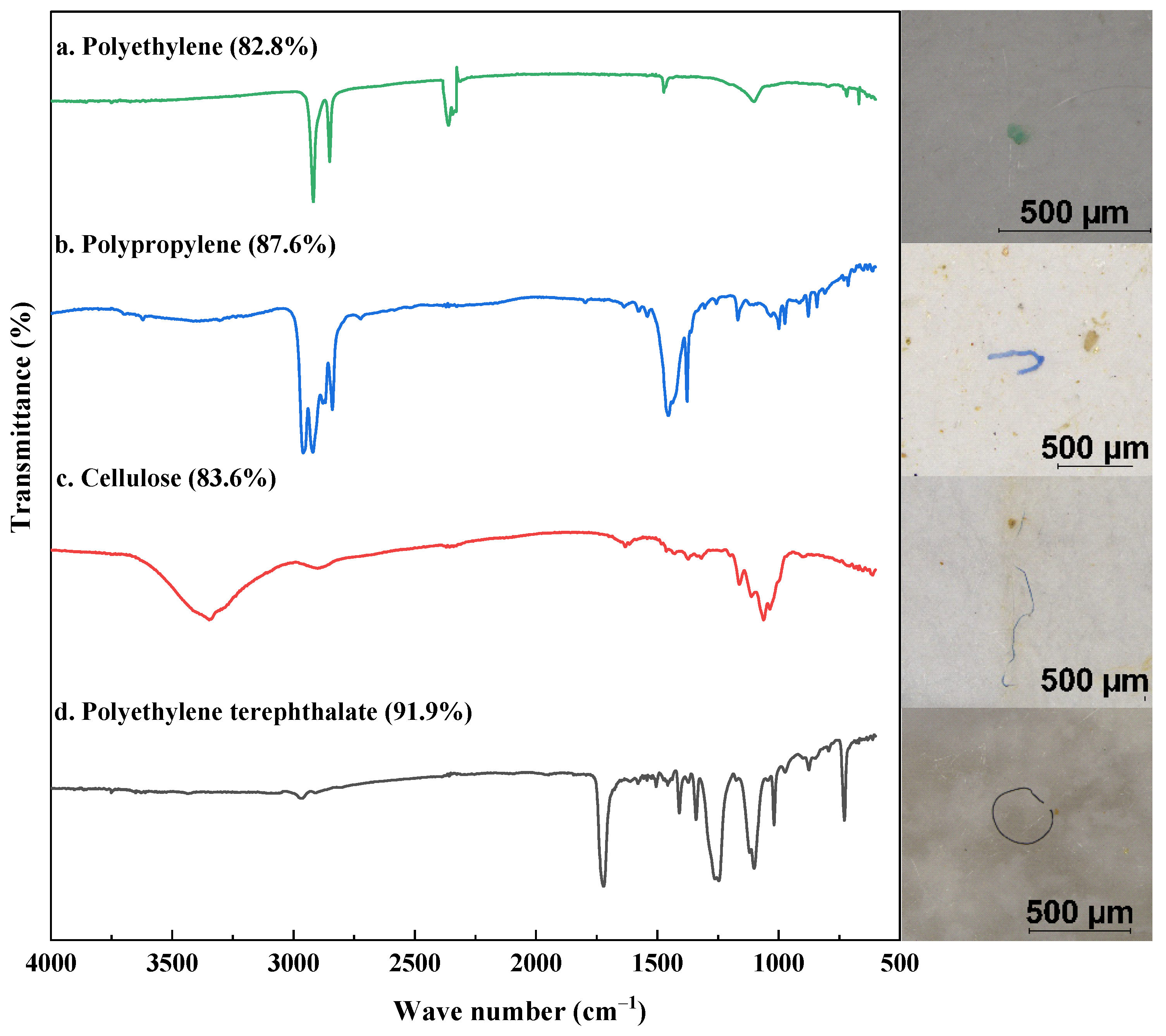Water 14 01455 g004 550