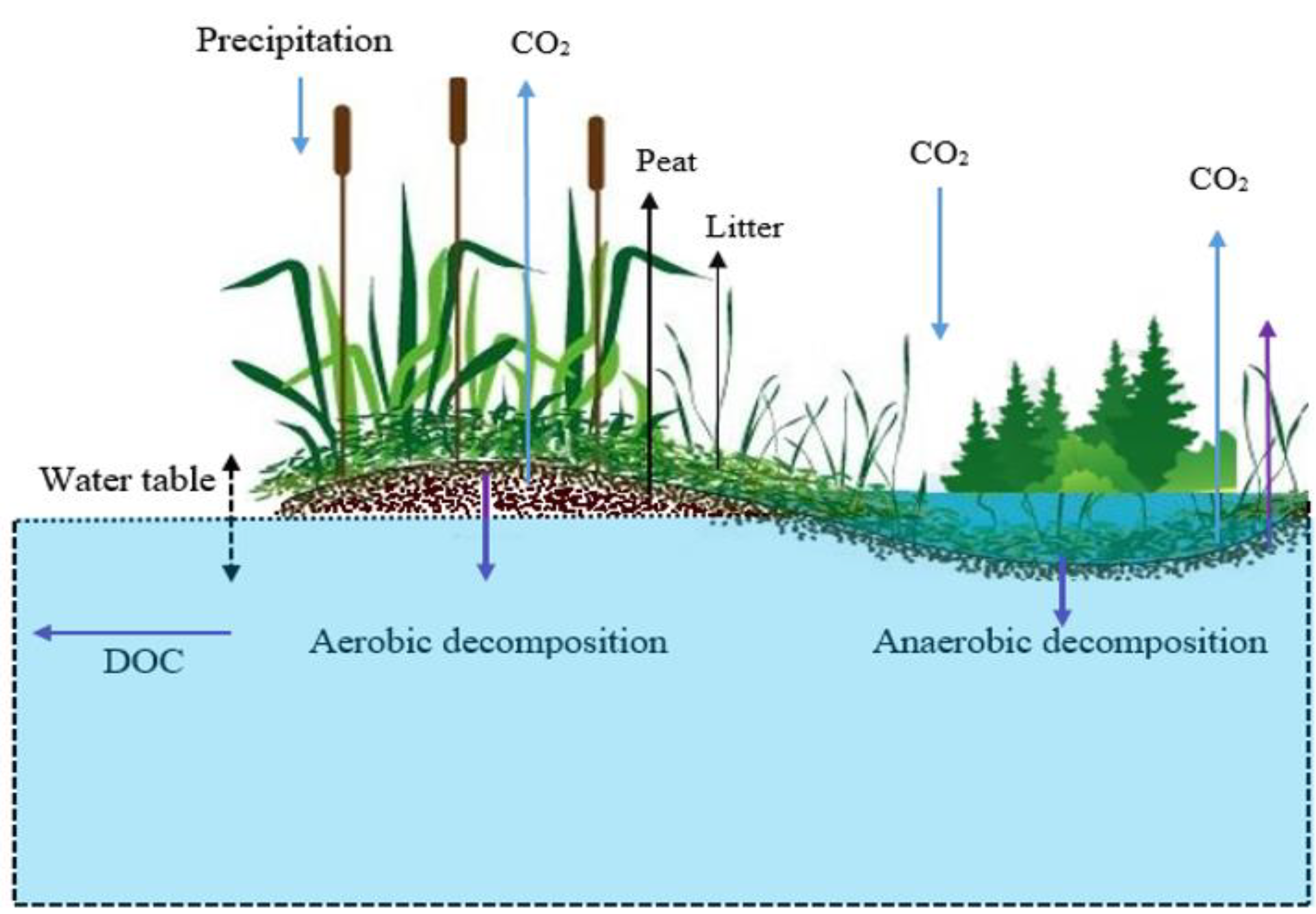 Water 14 01458 g003 Water 14 01458 g003