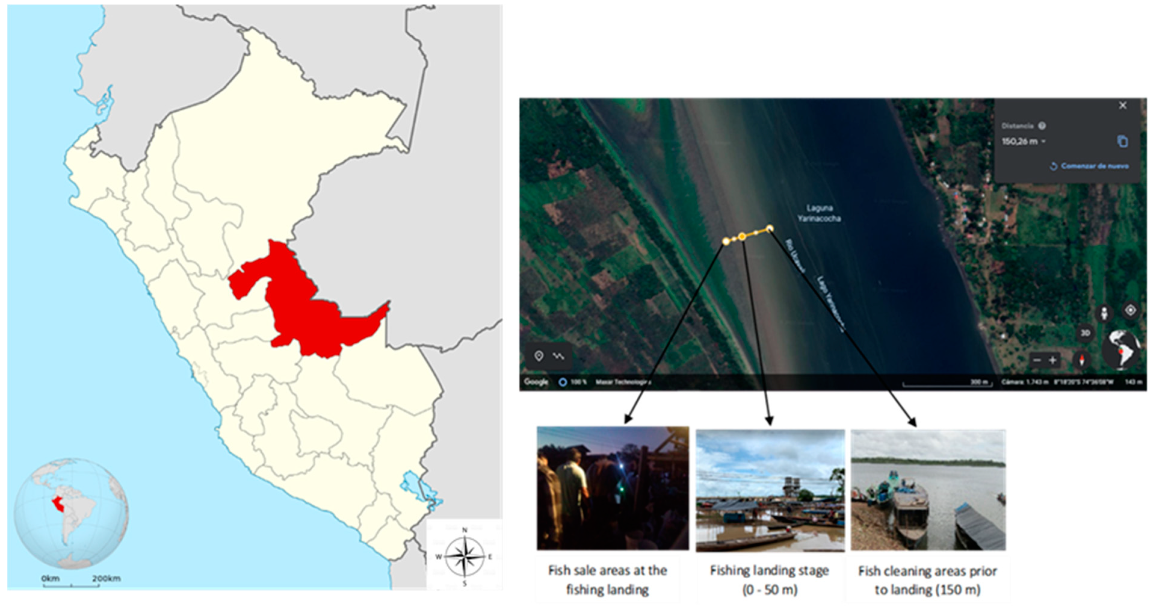 Water 14 01465 g001 Water 14 01465 g001