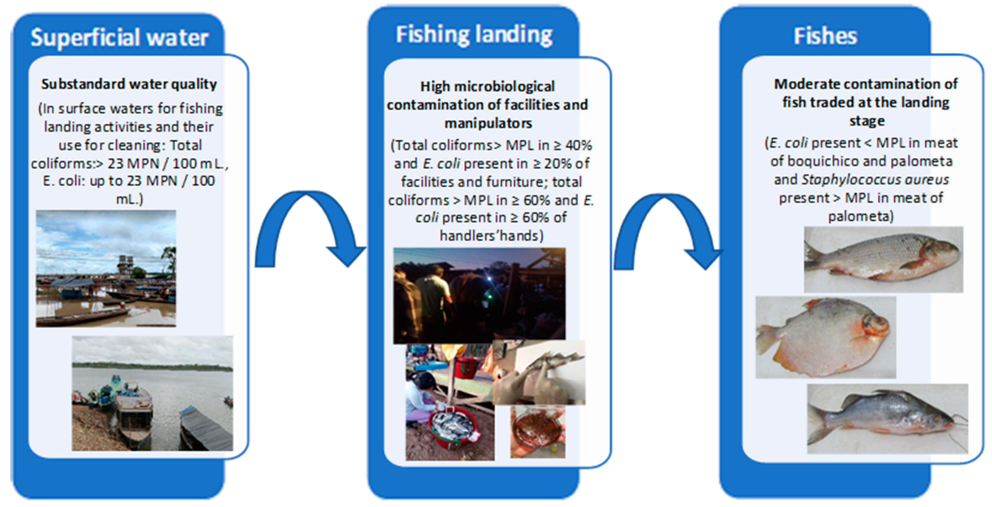 Water 14 01465 g002 Water 14 01465 g002