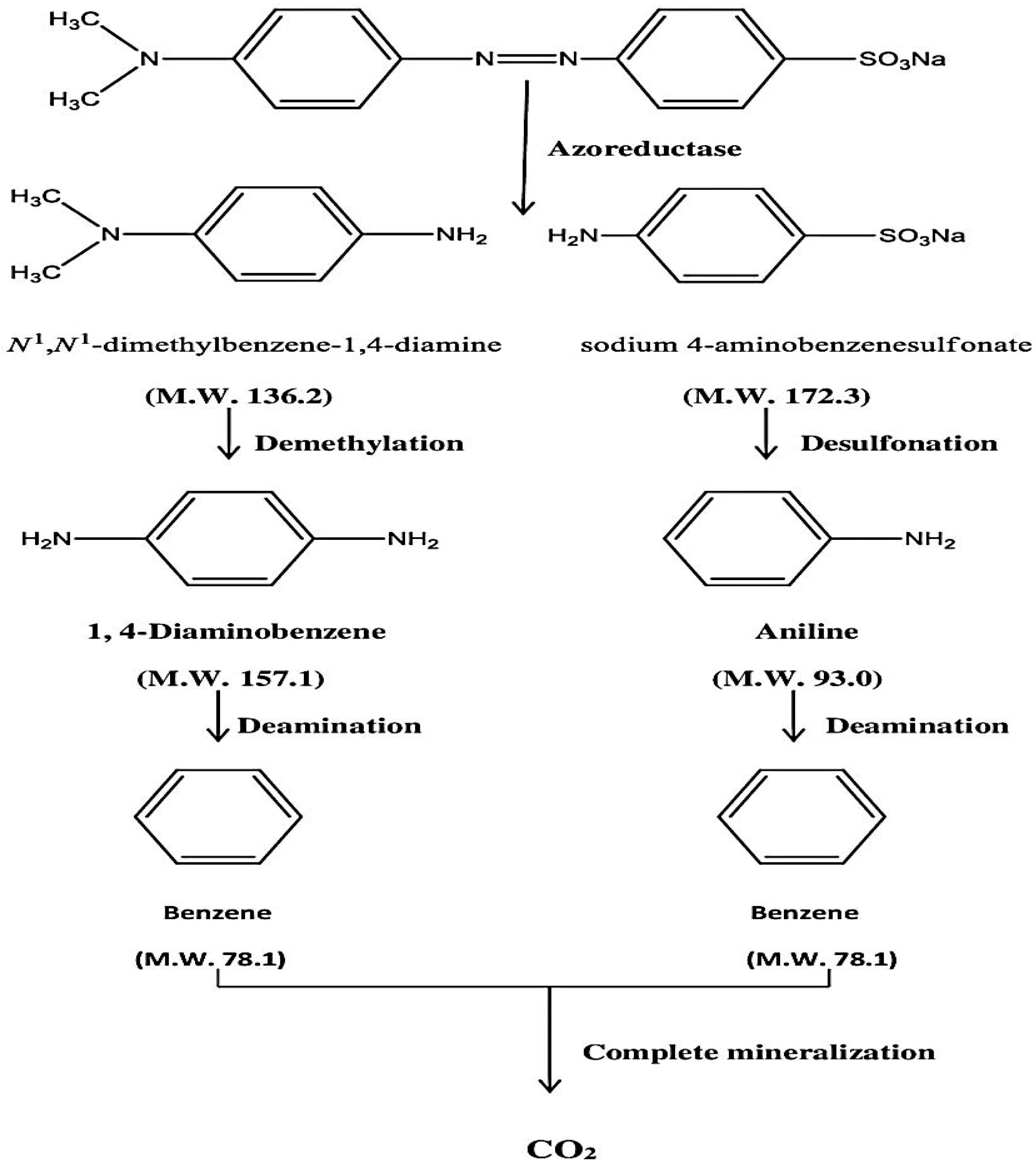 Water 14 01551 sch001 550