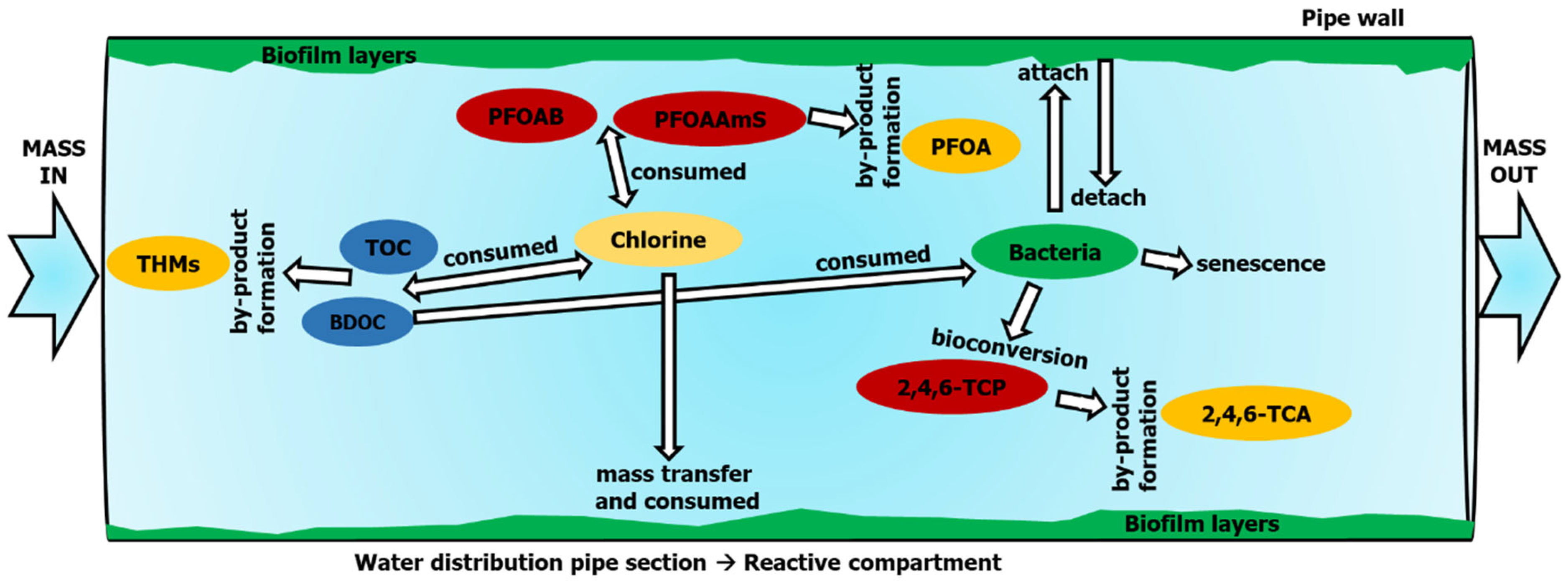 Water Free Full-Text Contaminant Fate and Transport Modeling in Distribution Systems: EPANET-C TIMEX x WDS ORIGINAL CAMPER GREEN