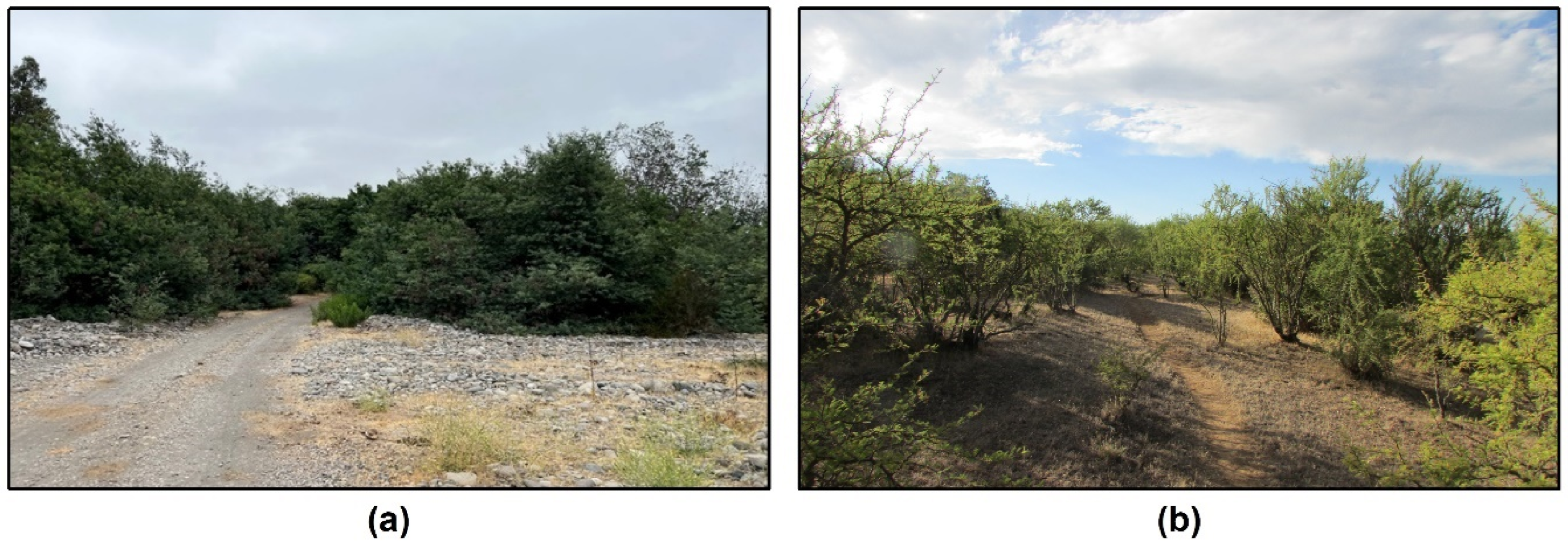 Water 14 01673 g009 550