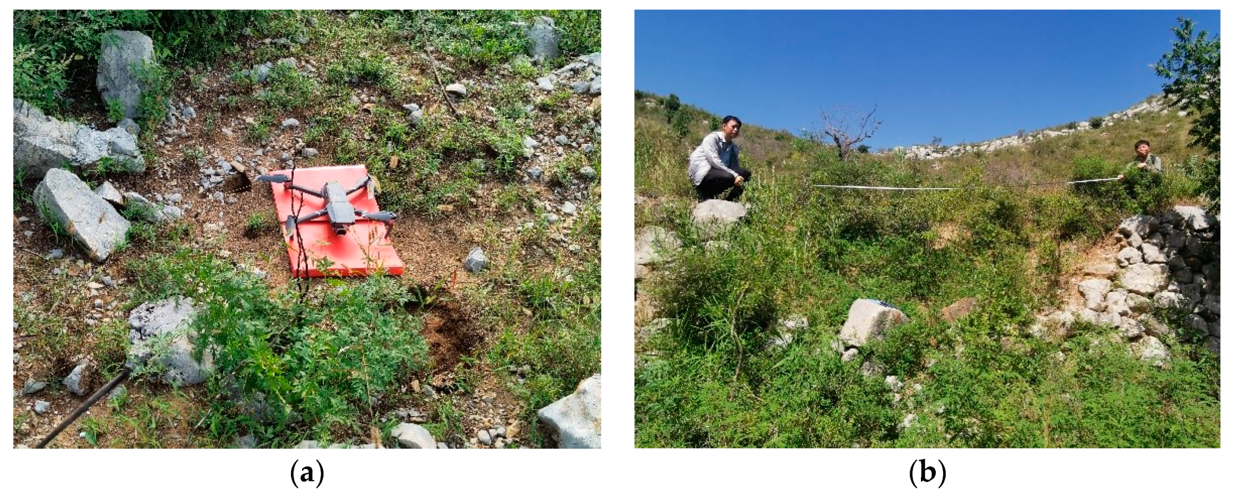 Water 14 01675 g002 550