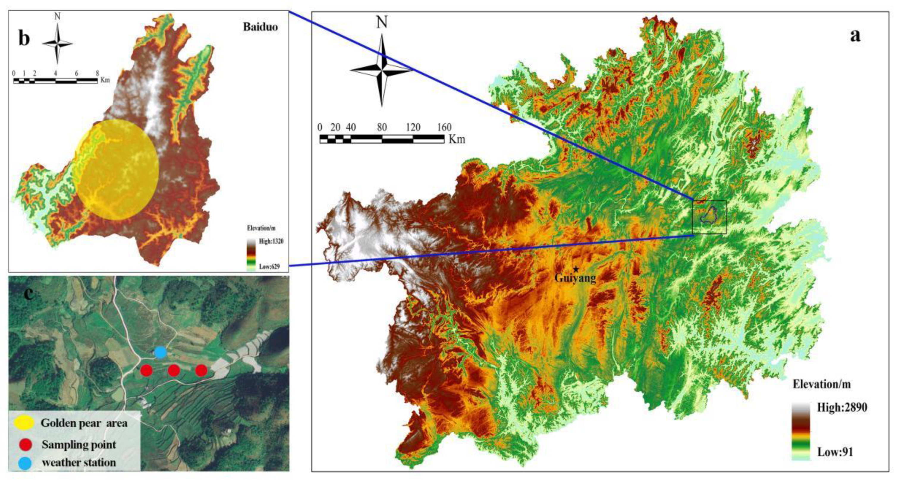 Water 14 01707 g001 550