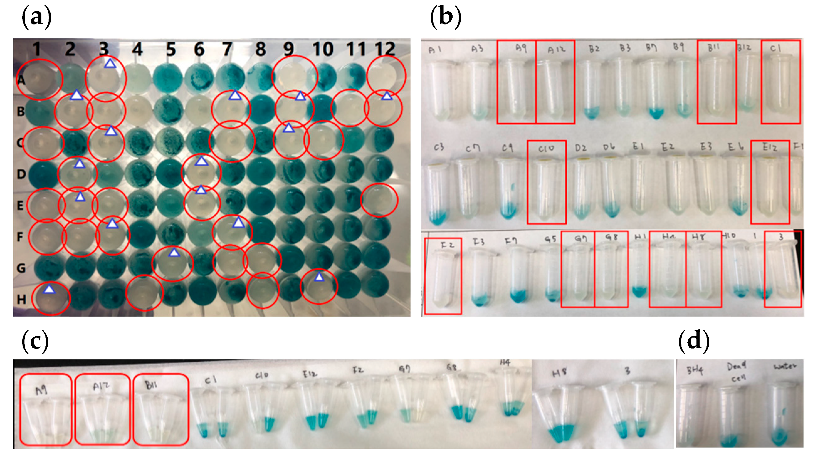 Water 14 01712 g001 550