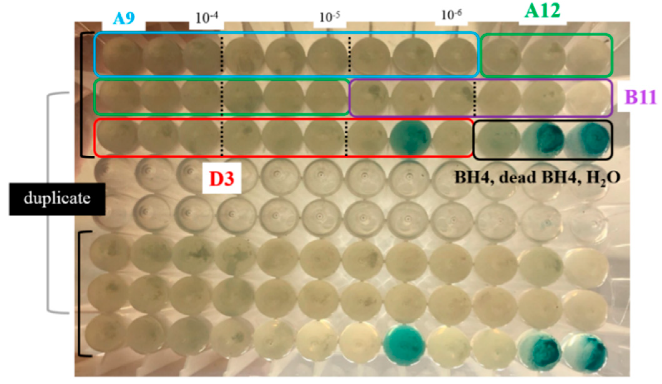 Water 14 01712 g002 550