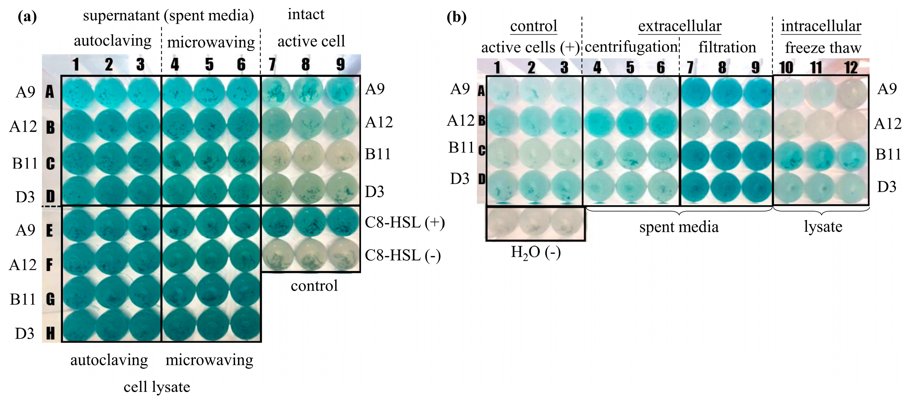 Water 14 01712 g004 550