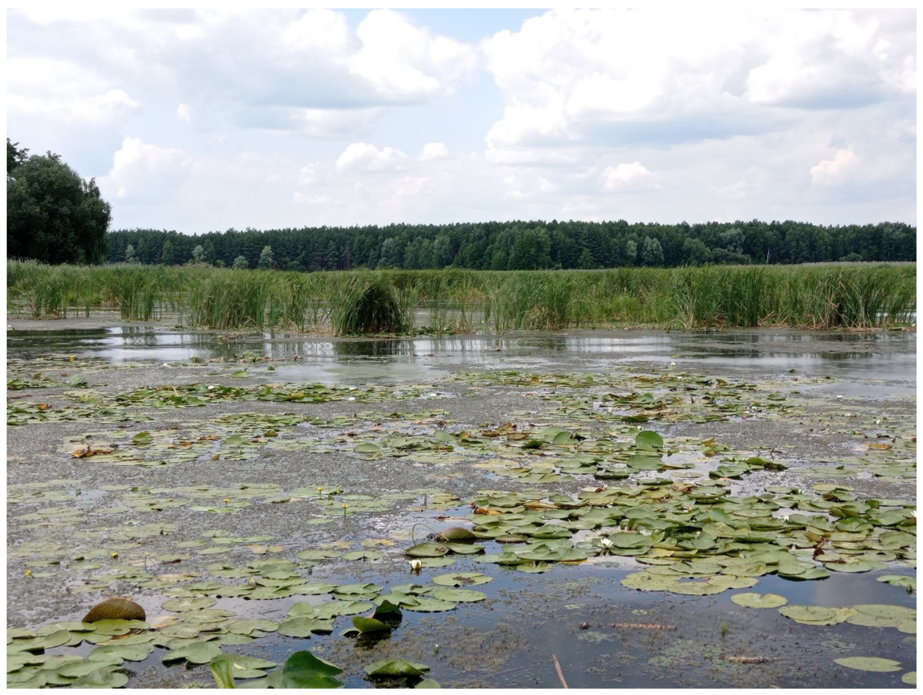 Water 14 01727 g002 Water 14 01727 g002