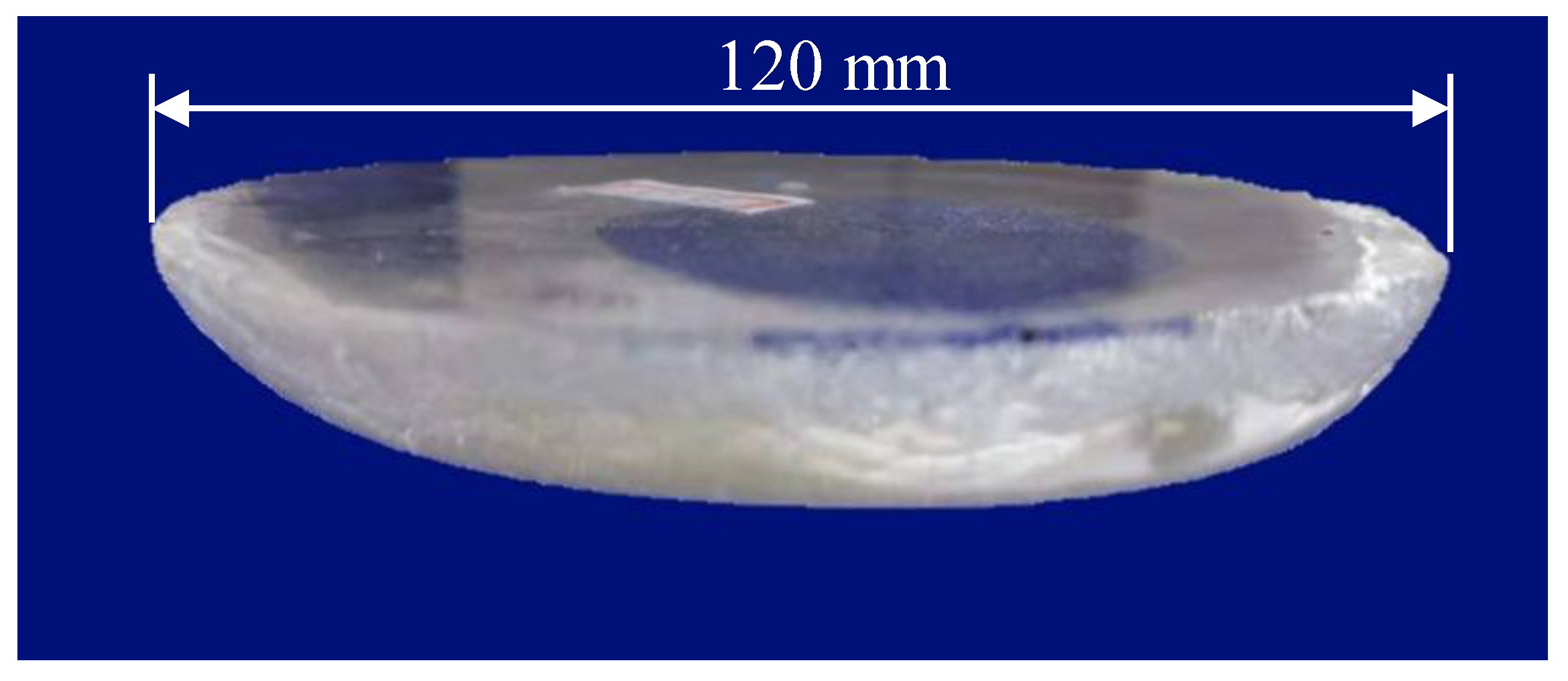 Water 14 01775 g005 550