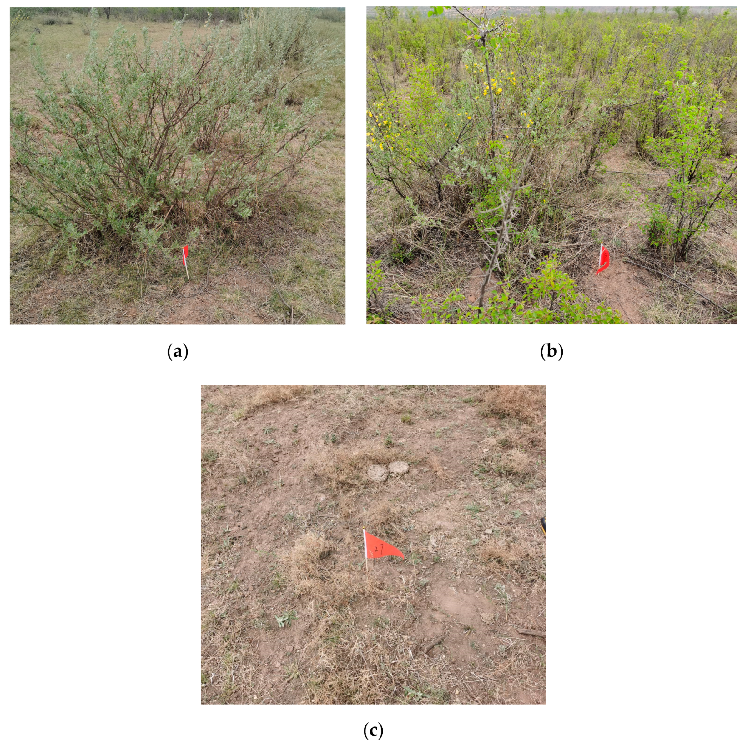 Water 14 01792 g006 550