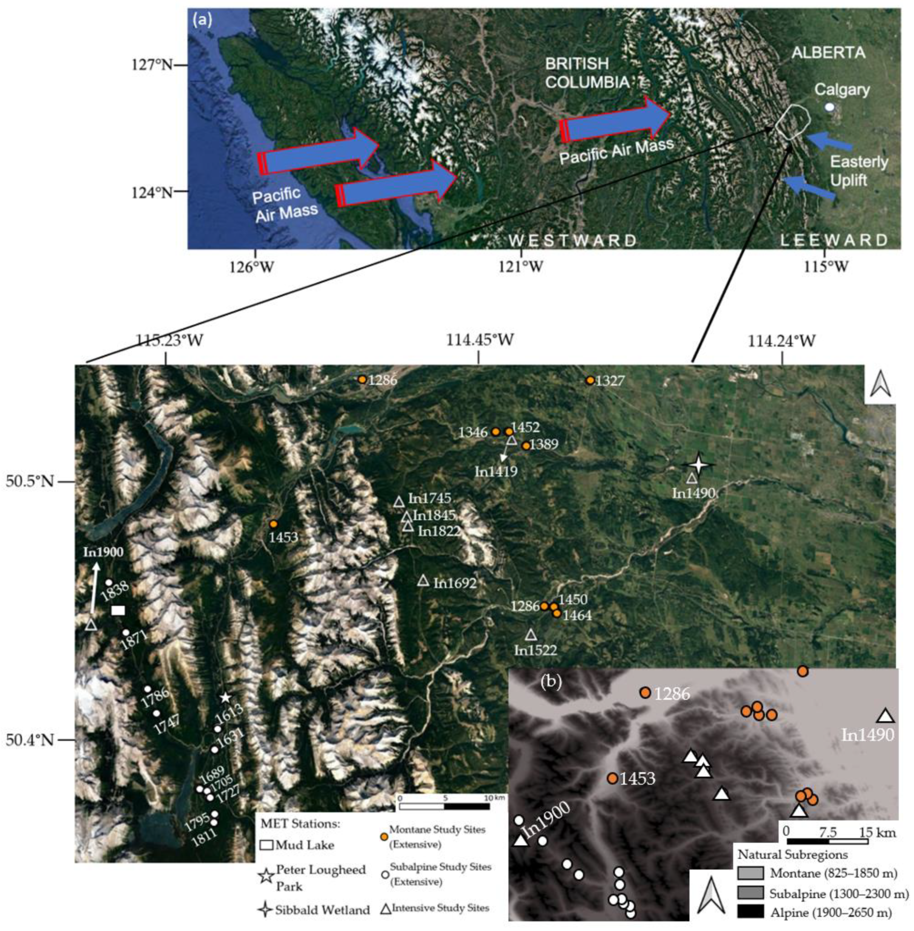 Water 14 01815 g001 550