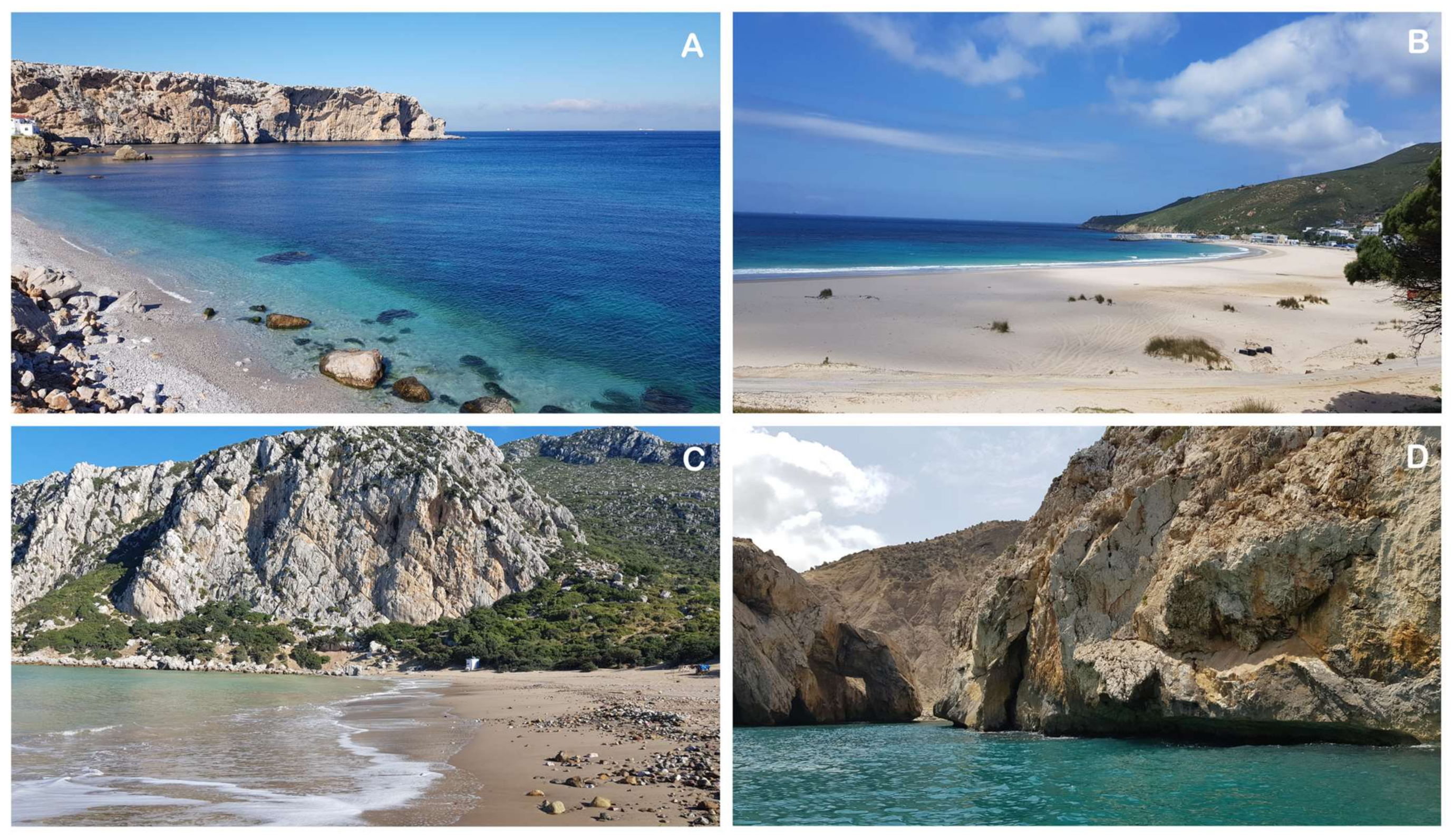 Water 14 01837 g006 550