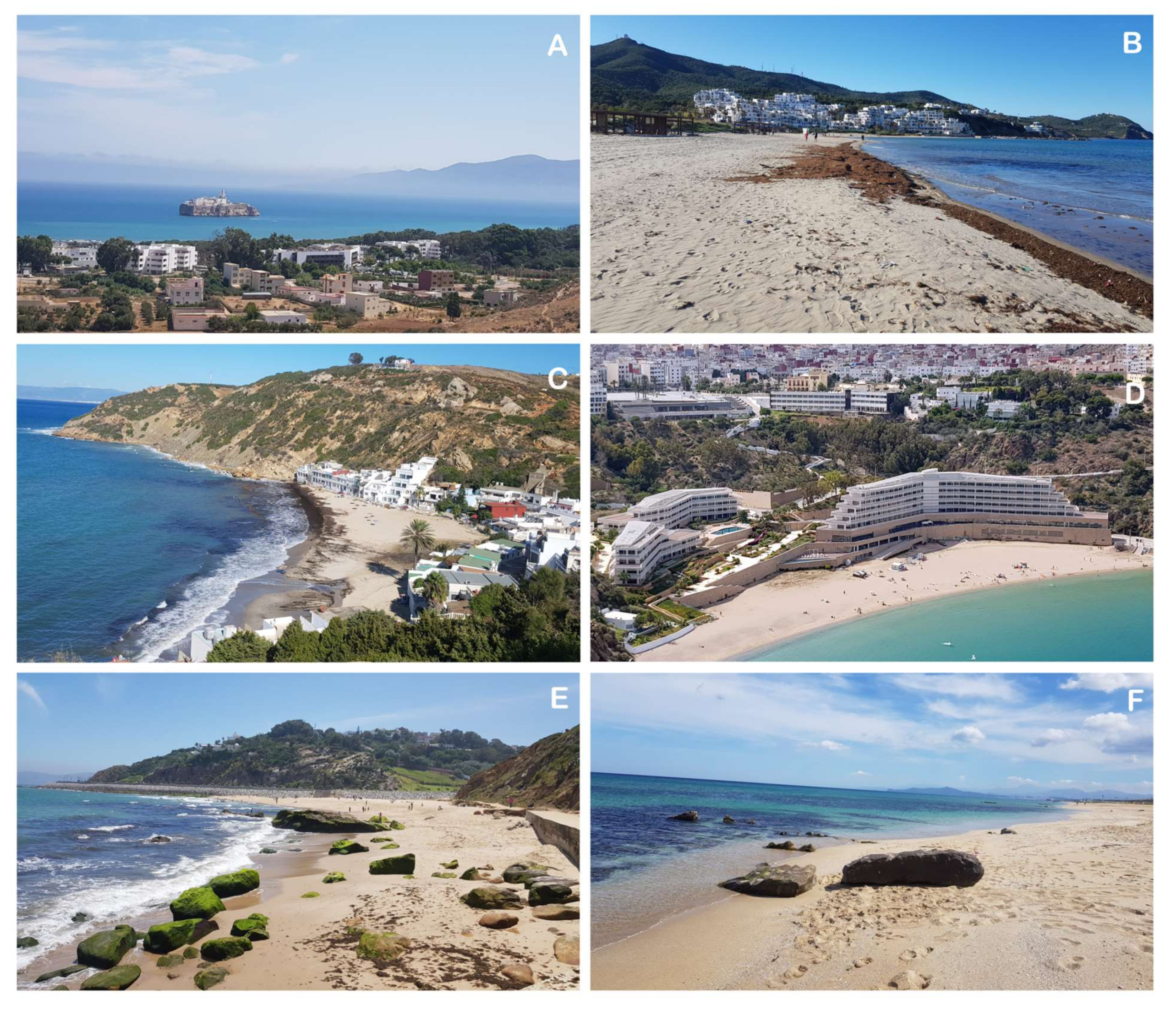 Water 14 01837 g007 550