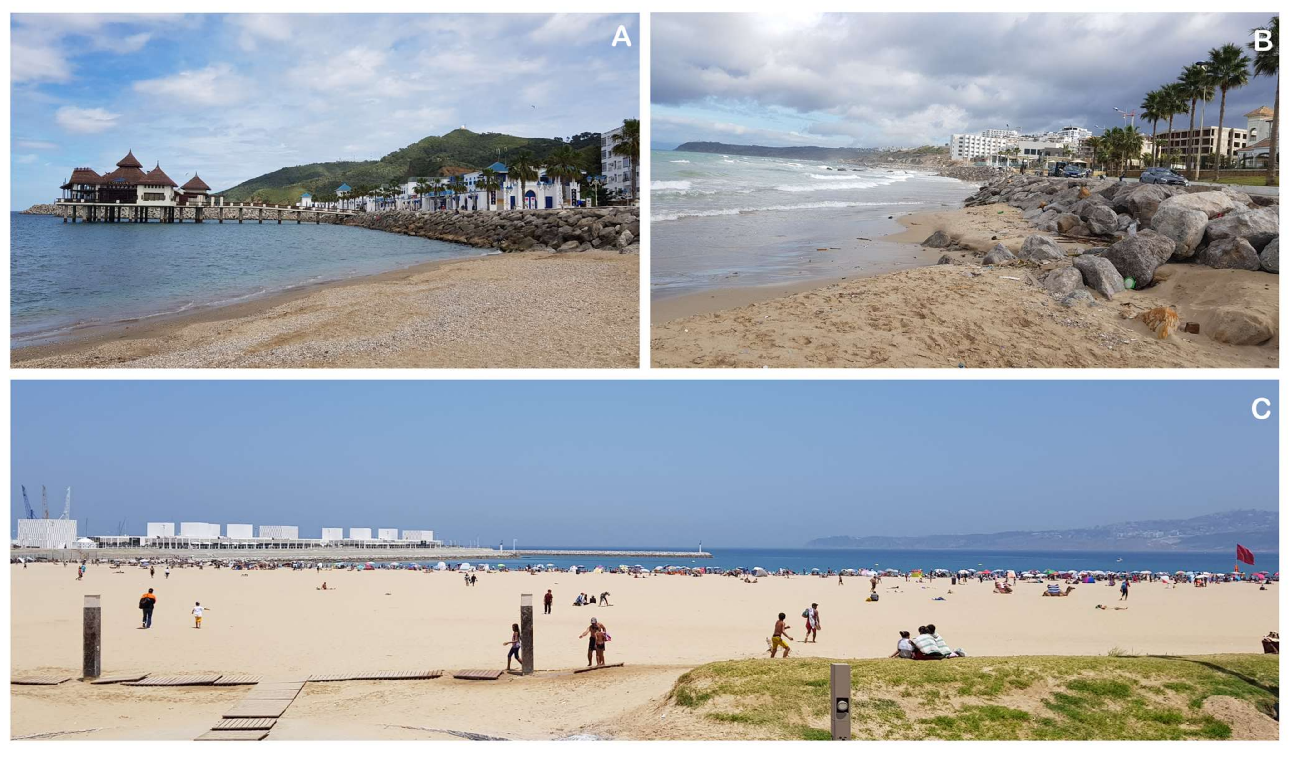 Water 14 01837 g008 550