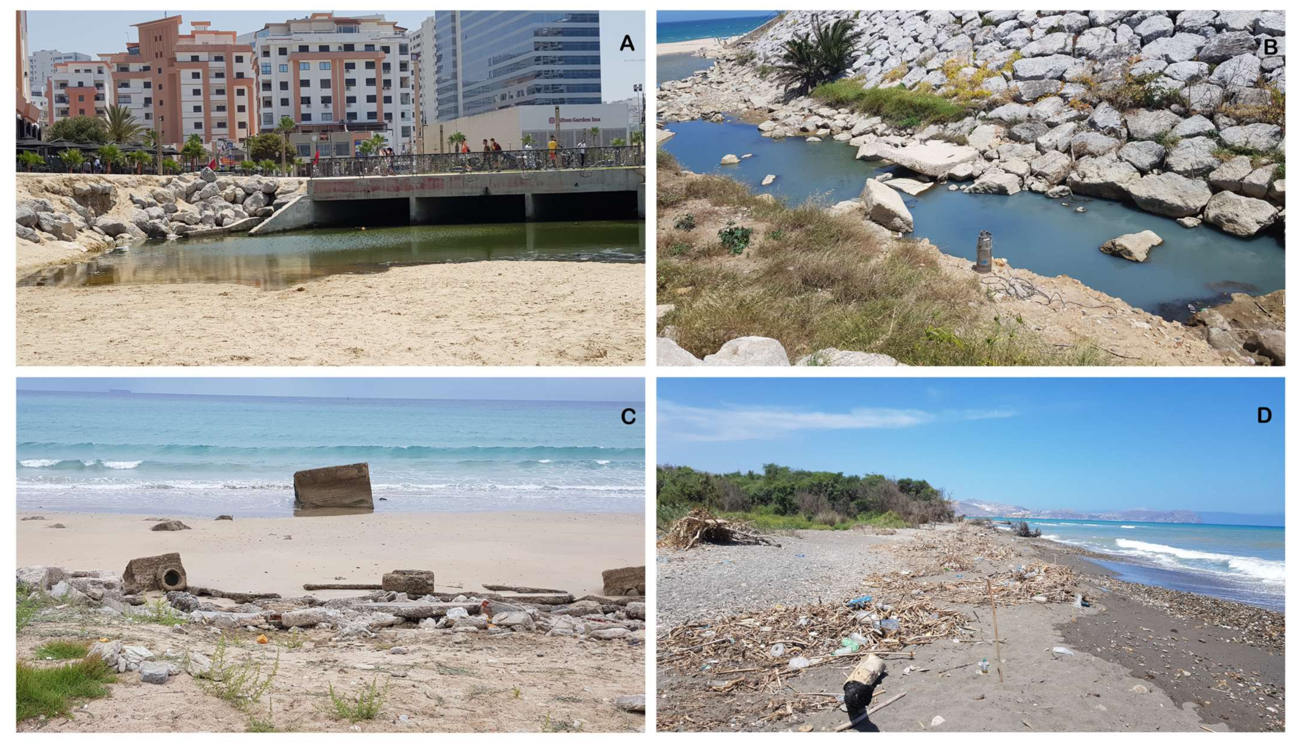 Water 14 01837 g009 550