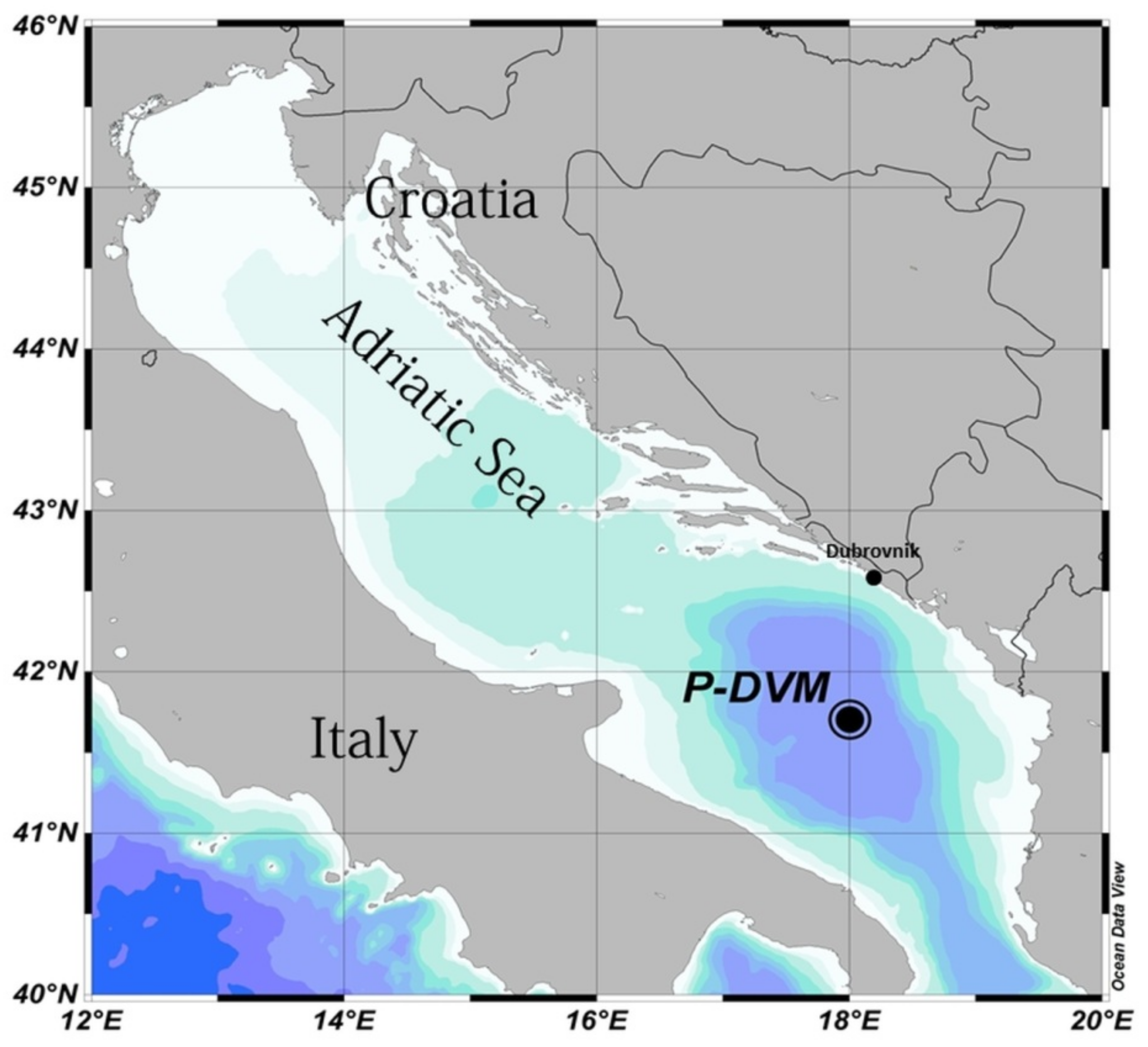 Mass stranding site, Adriatic coast, Southern Italy (Mediterranean