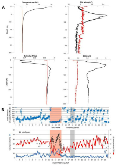 PDF) Diel vertical migration of the copepod Thermocyclops inversus