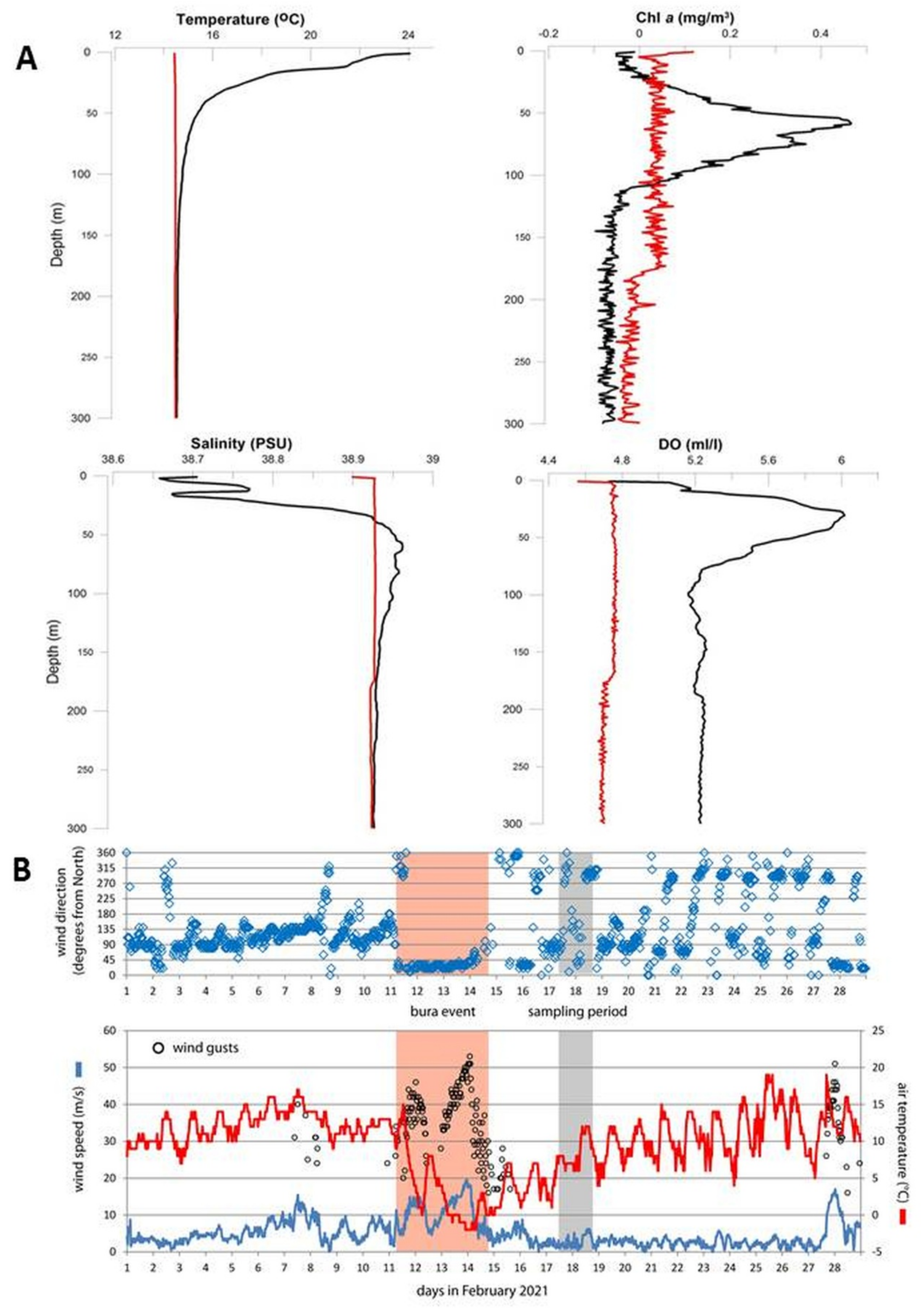 PDF) Diel vertical migration of the copepod Thermocyclops inversus (Kiefer,  1936) in a tropical reservoir: The role of oxygen and the spatial overlap  with Chaoborus