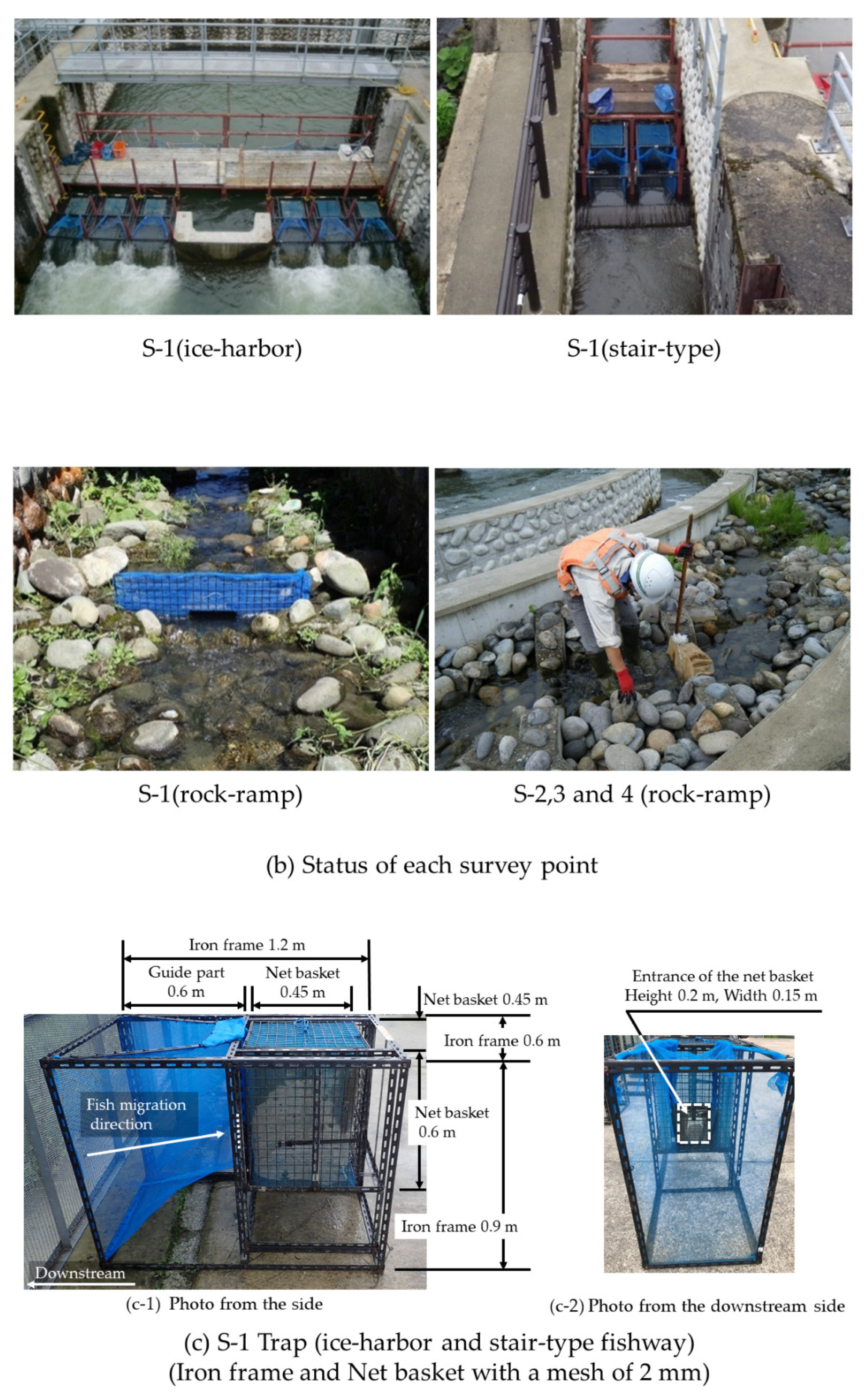 Water 14 01991 g003b 550