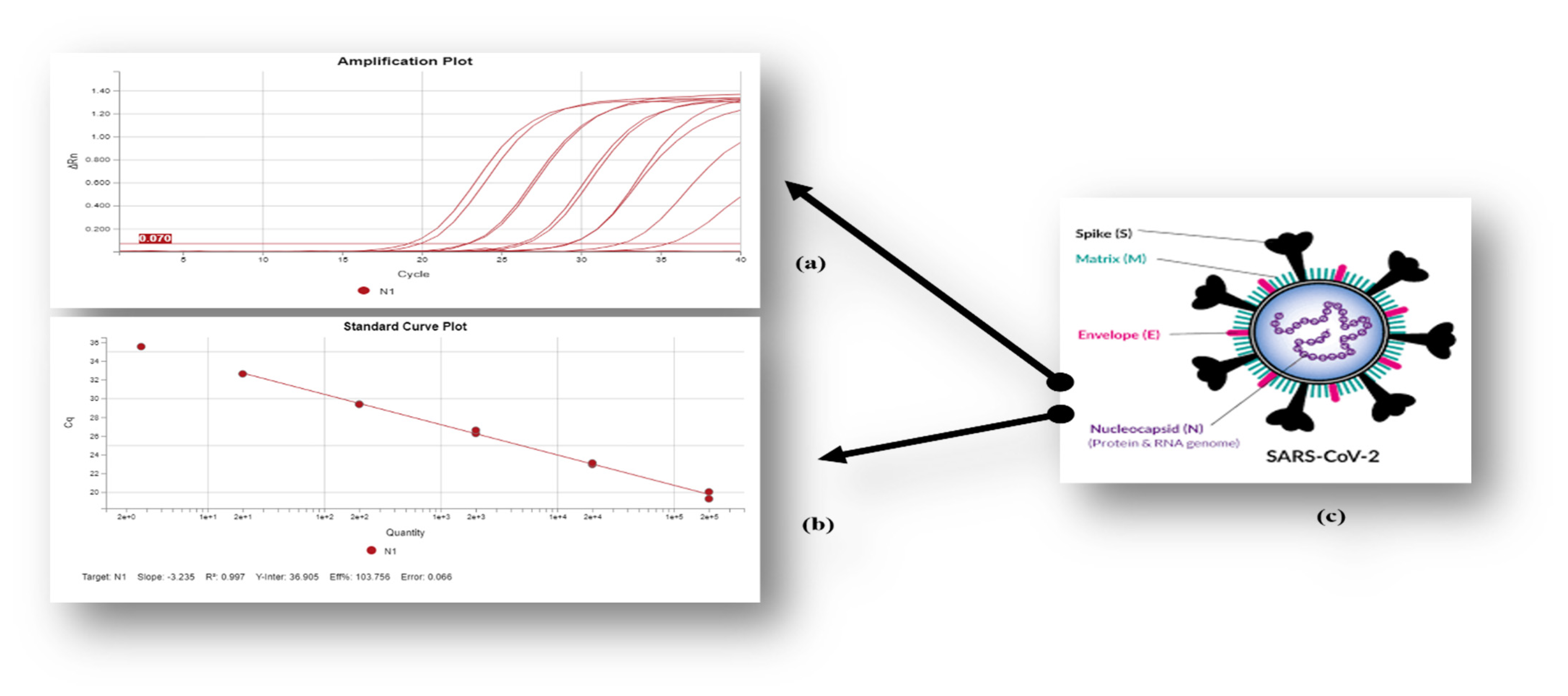Water 14 02020 g003 550