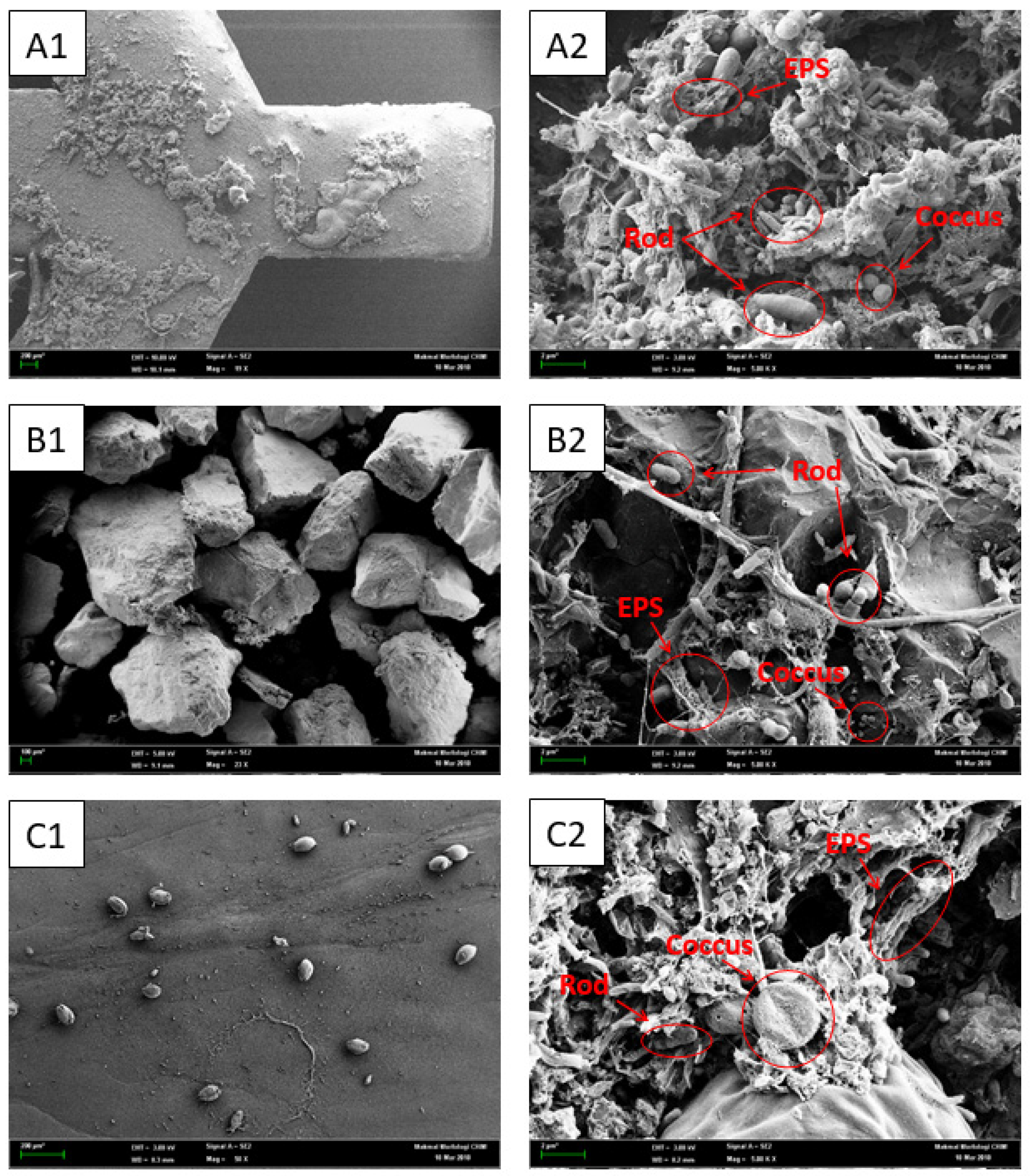 Water 14 02025 g005 550