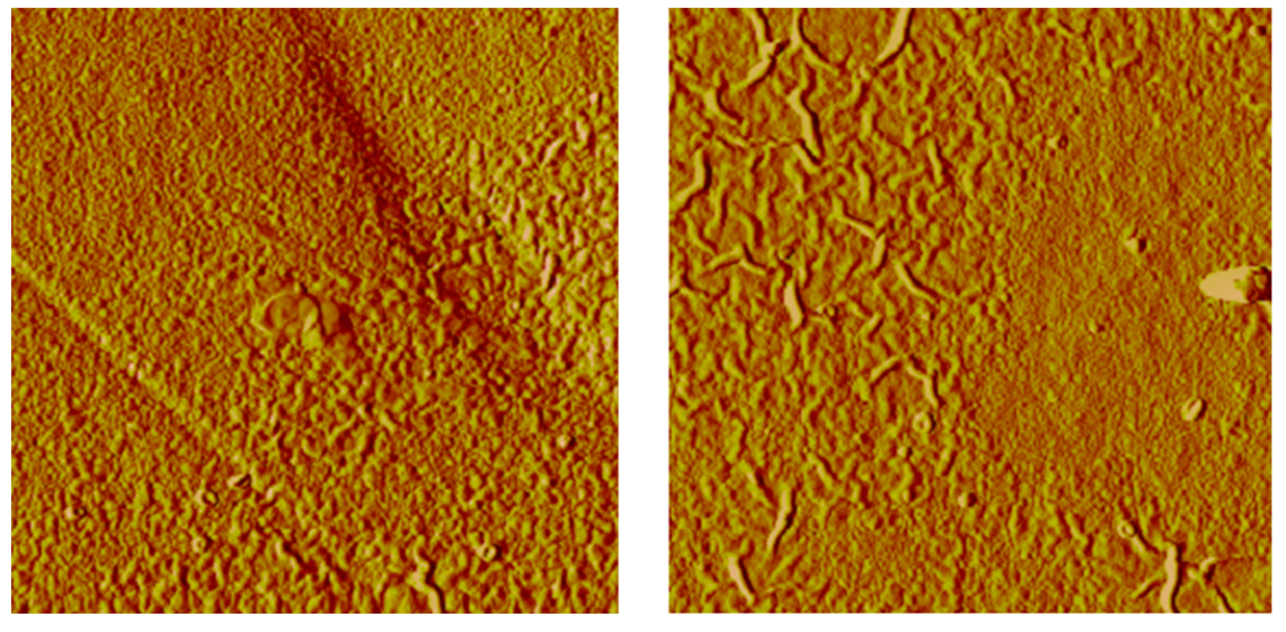 Water 14 02035 g011 550