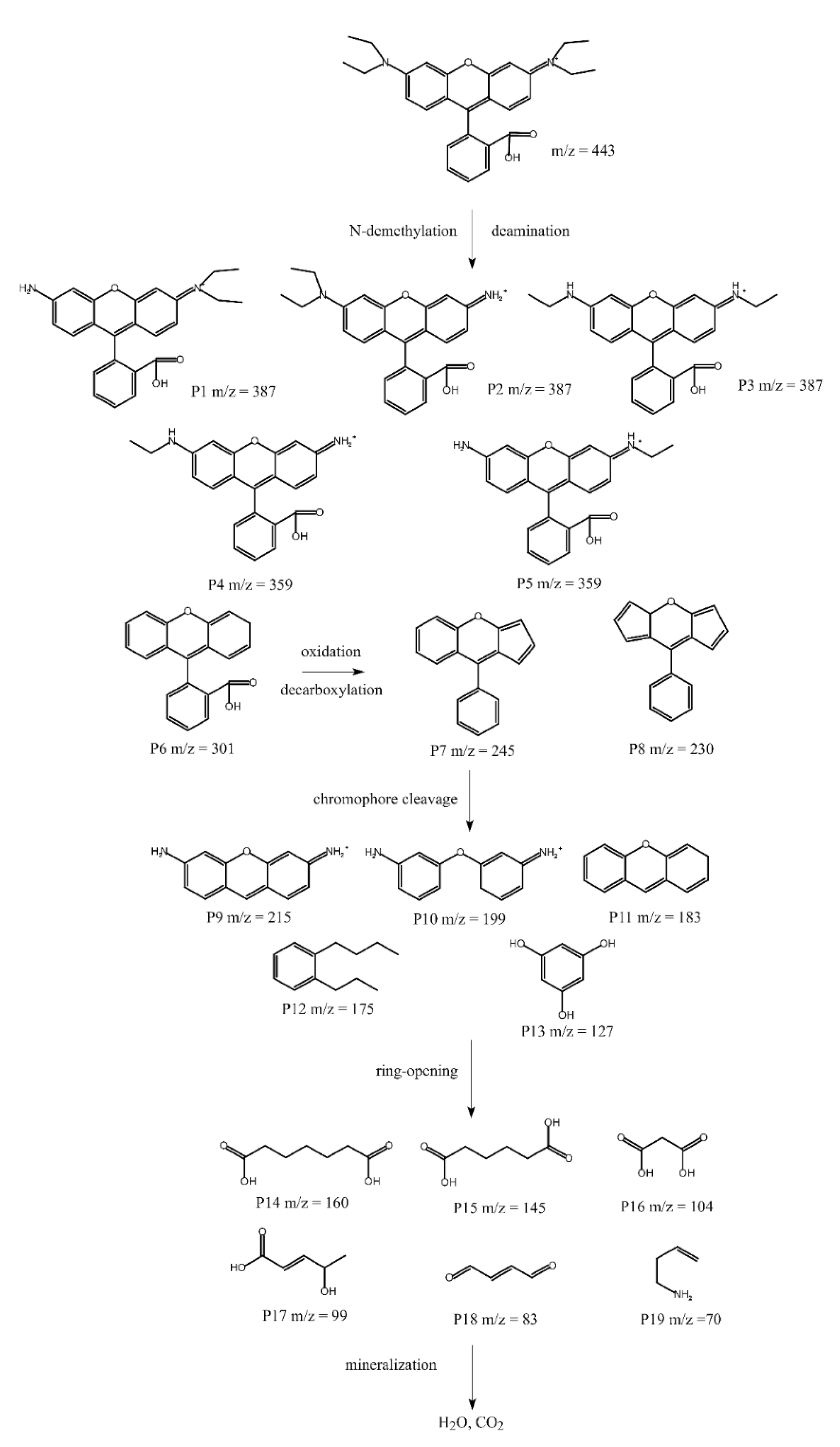 Water 14 02054 g009 550