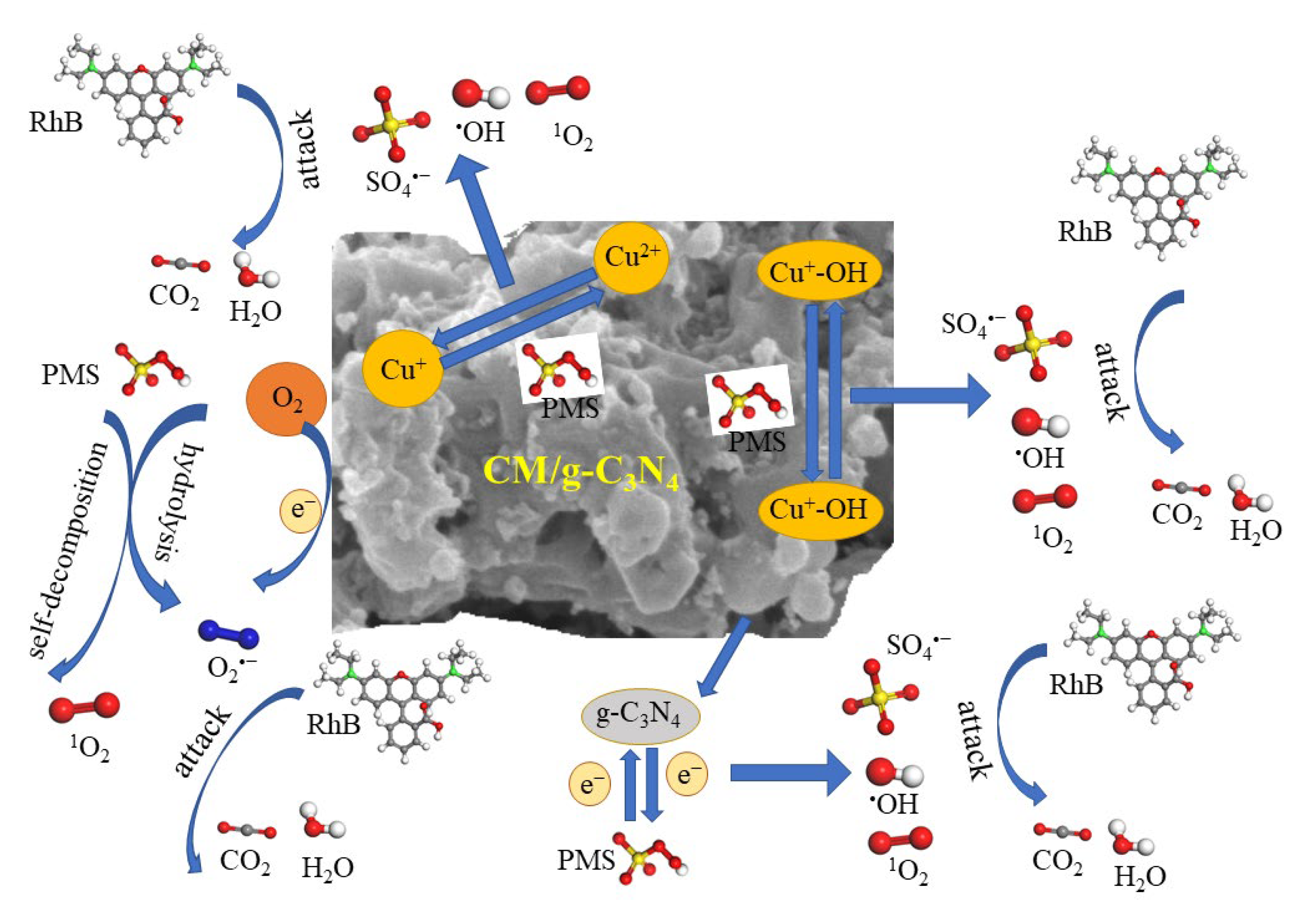 Water 14 02054 sch001 550