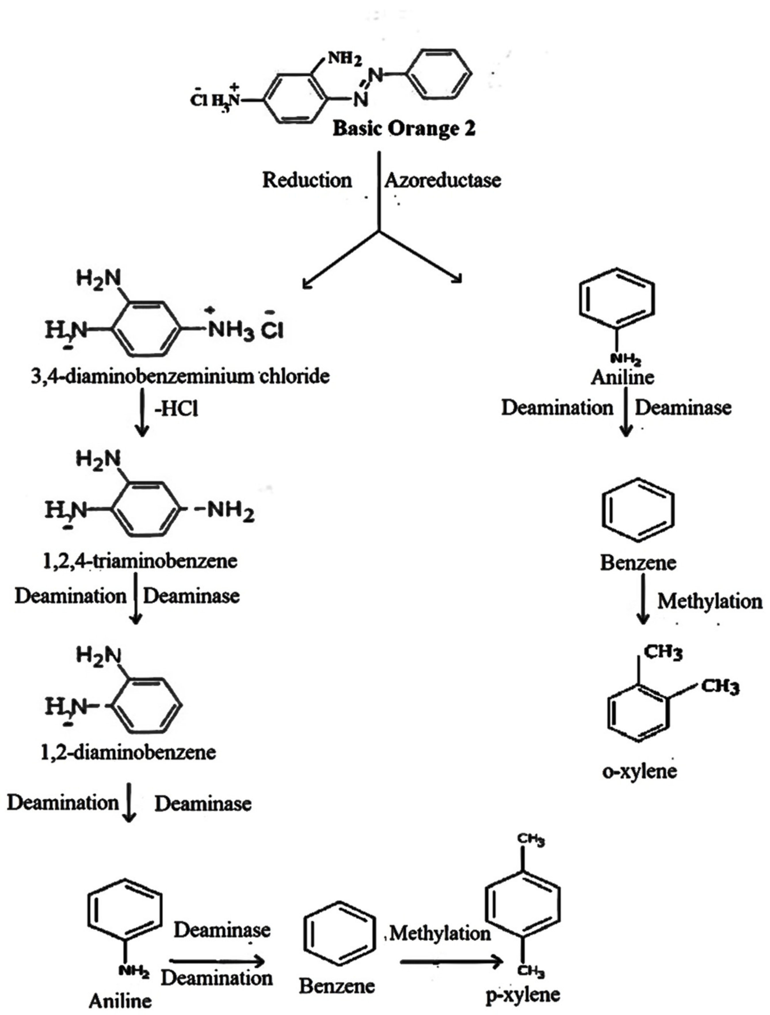 Water 14 02063 g016 550