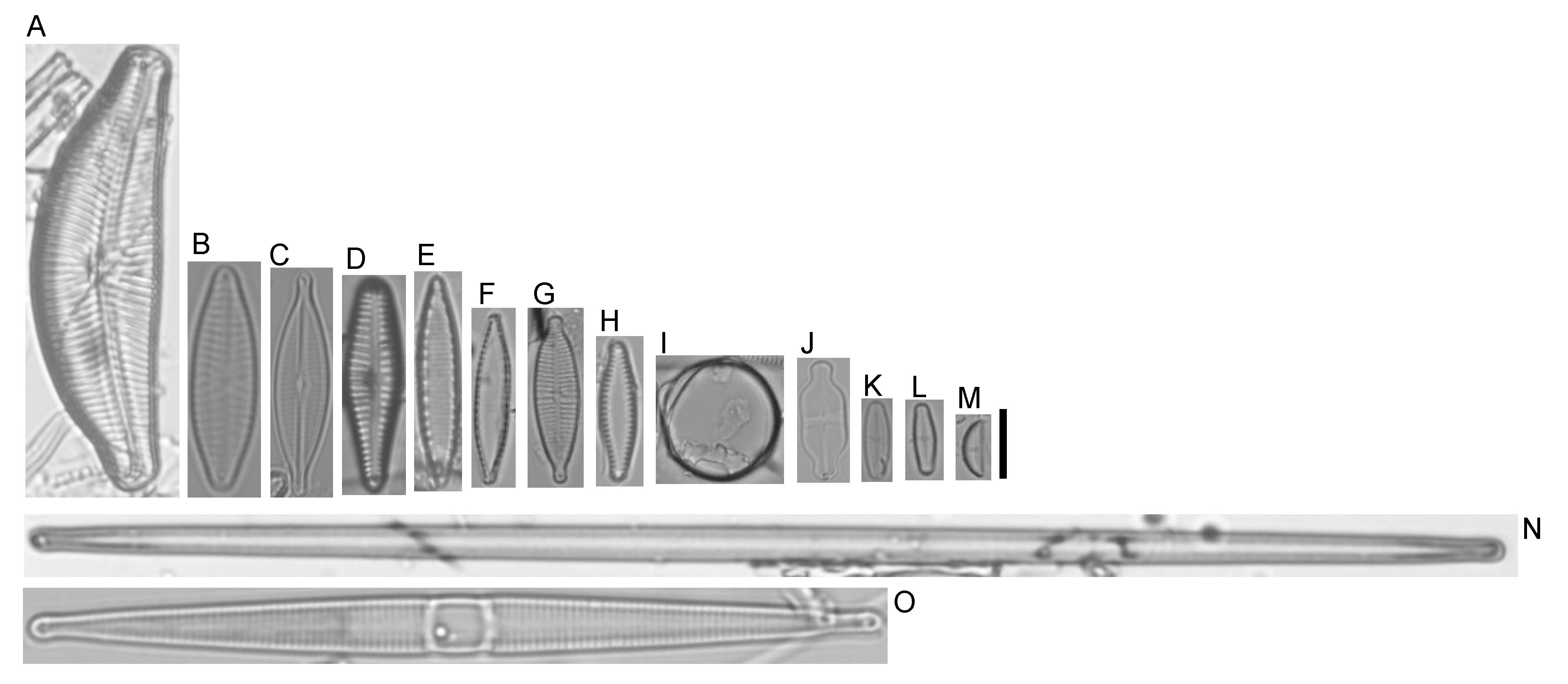 Water 14 02116 g001 Water 14 02116 g001