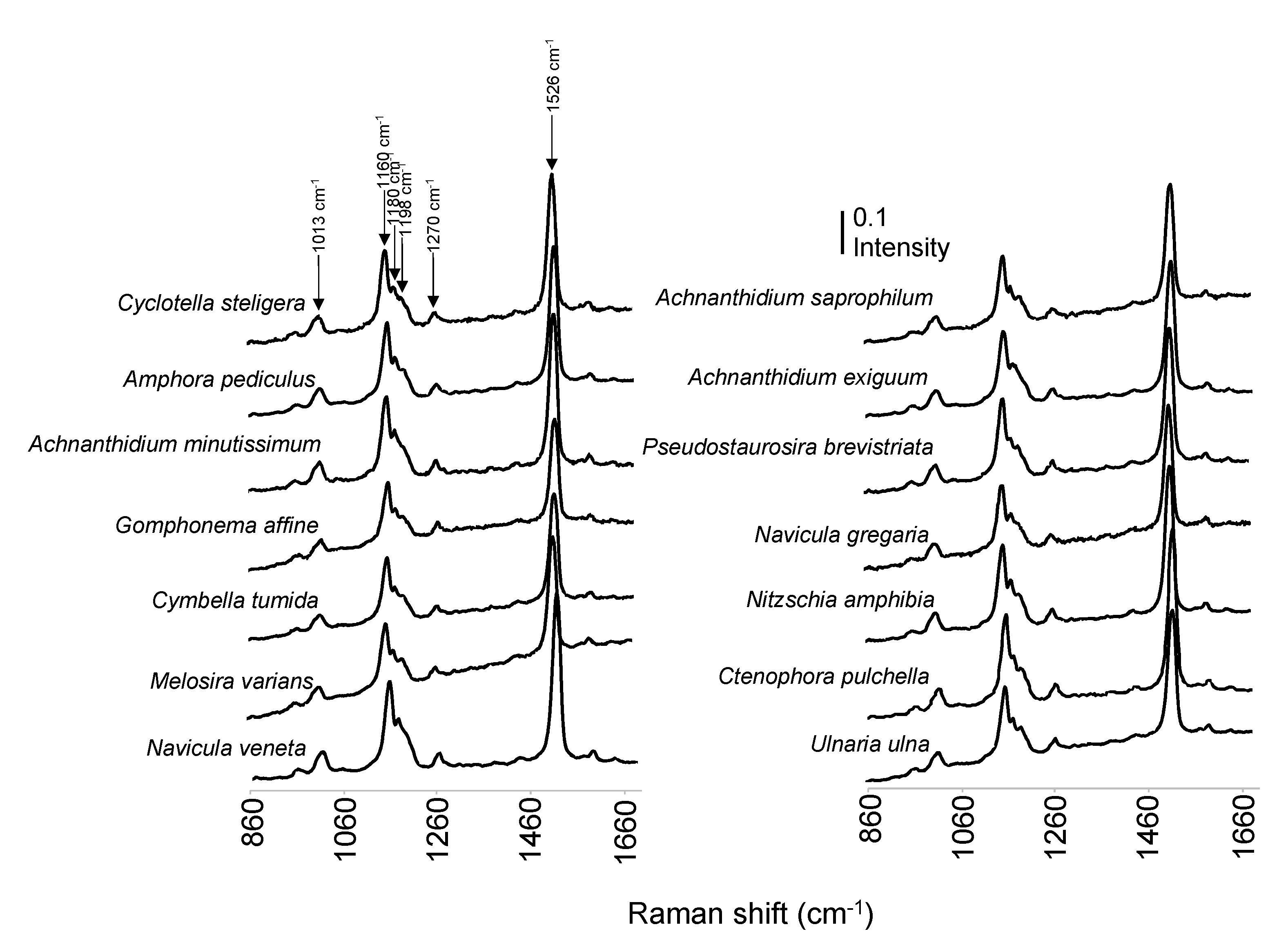 Water 14 02116 g002 Water 14 02116 g002