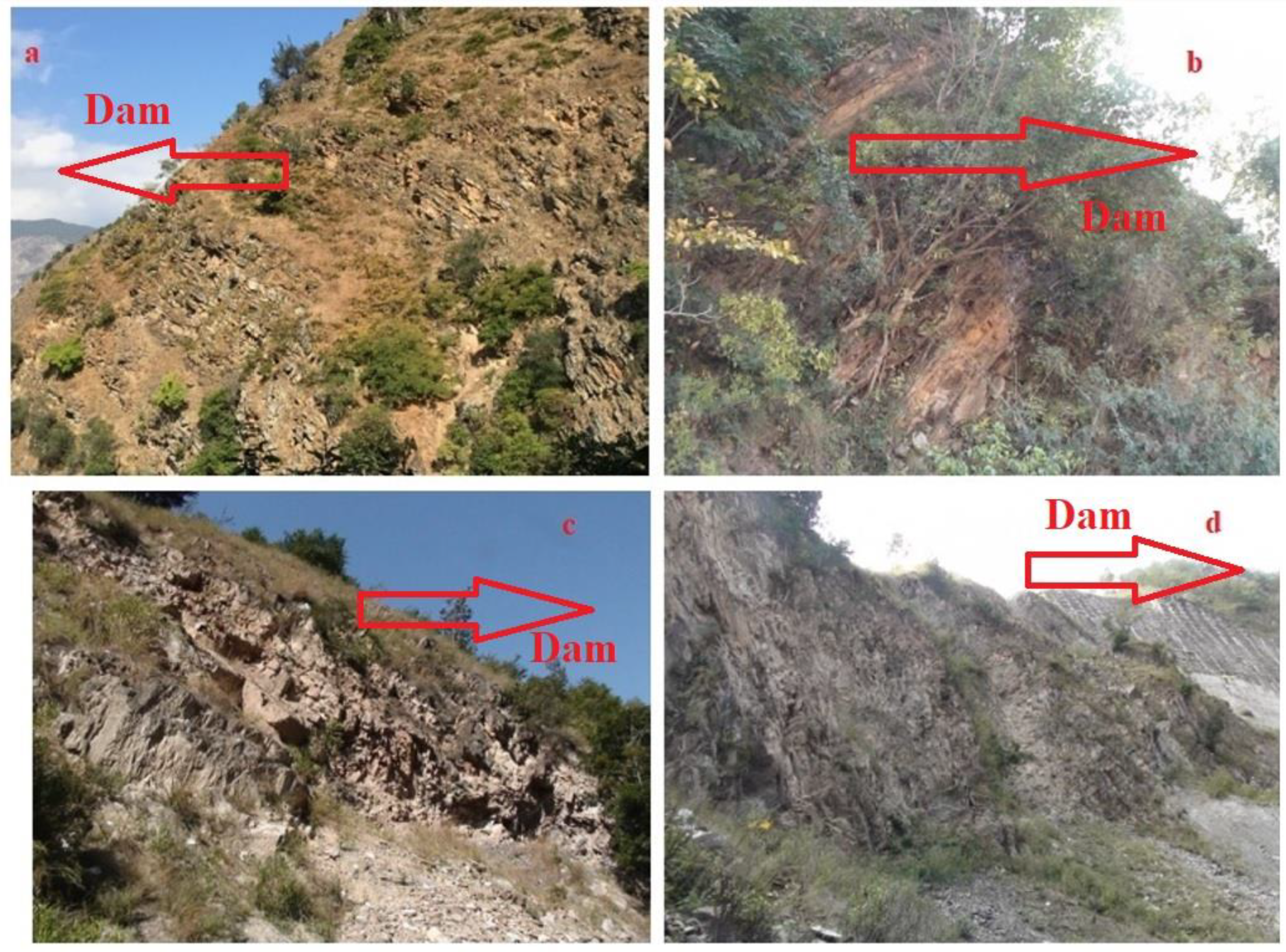 Water 14 02126 g003 550