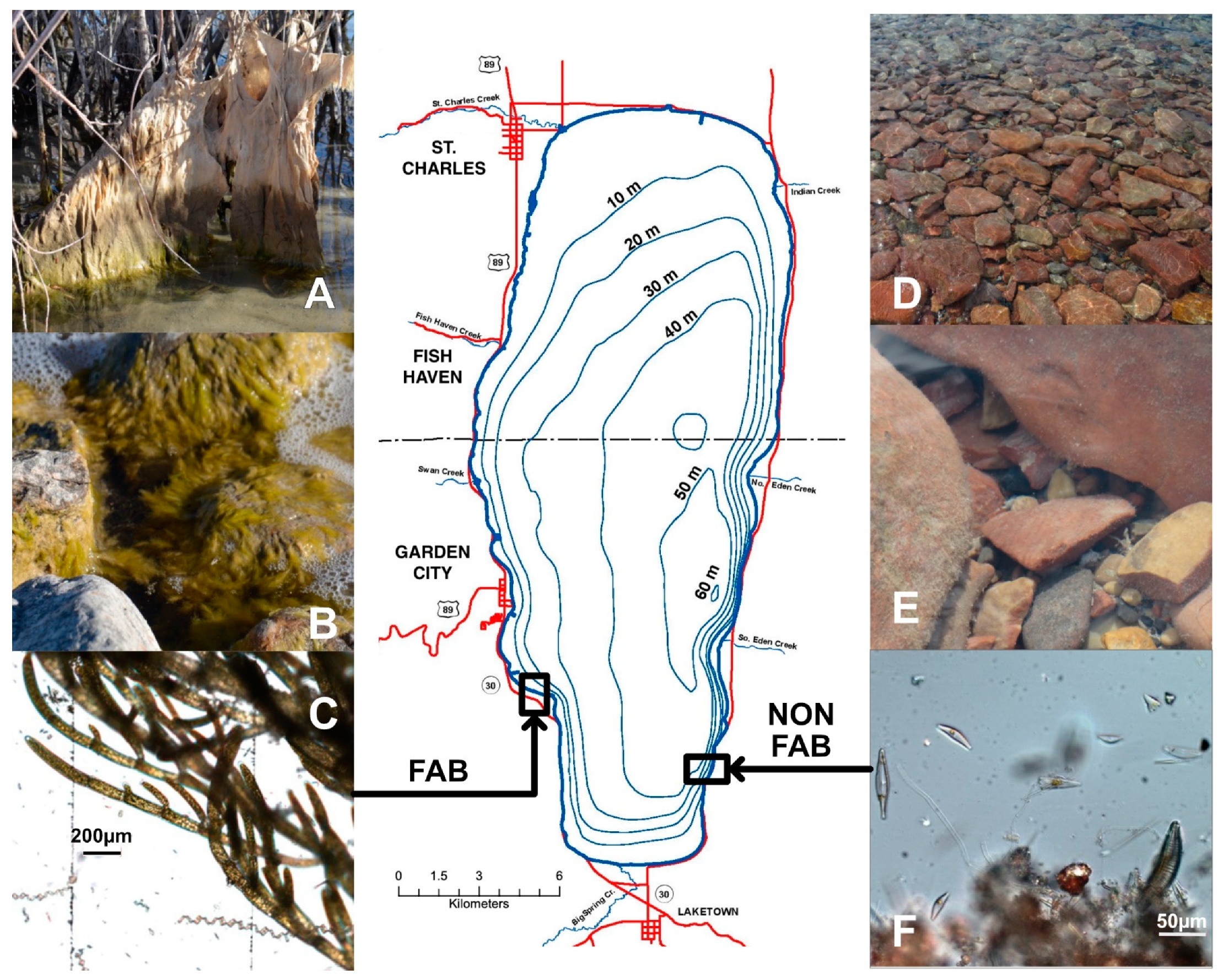 Water 14 02136 g001 Water 14 02136 g001