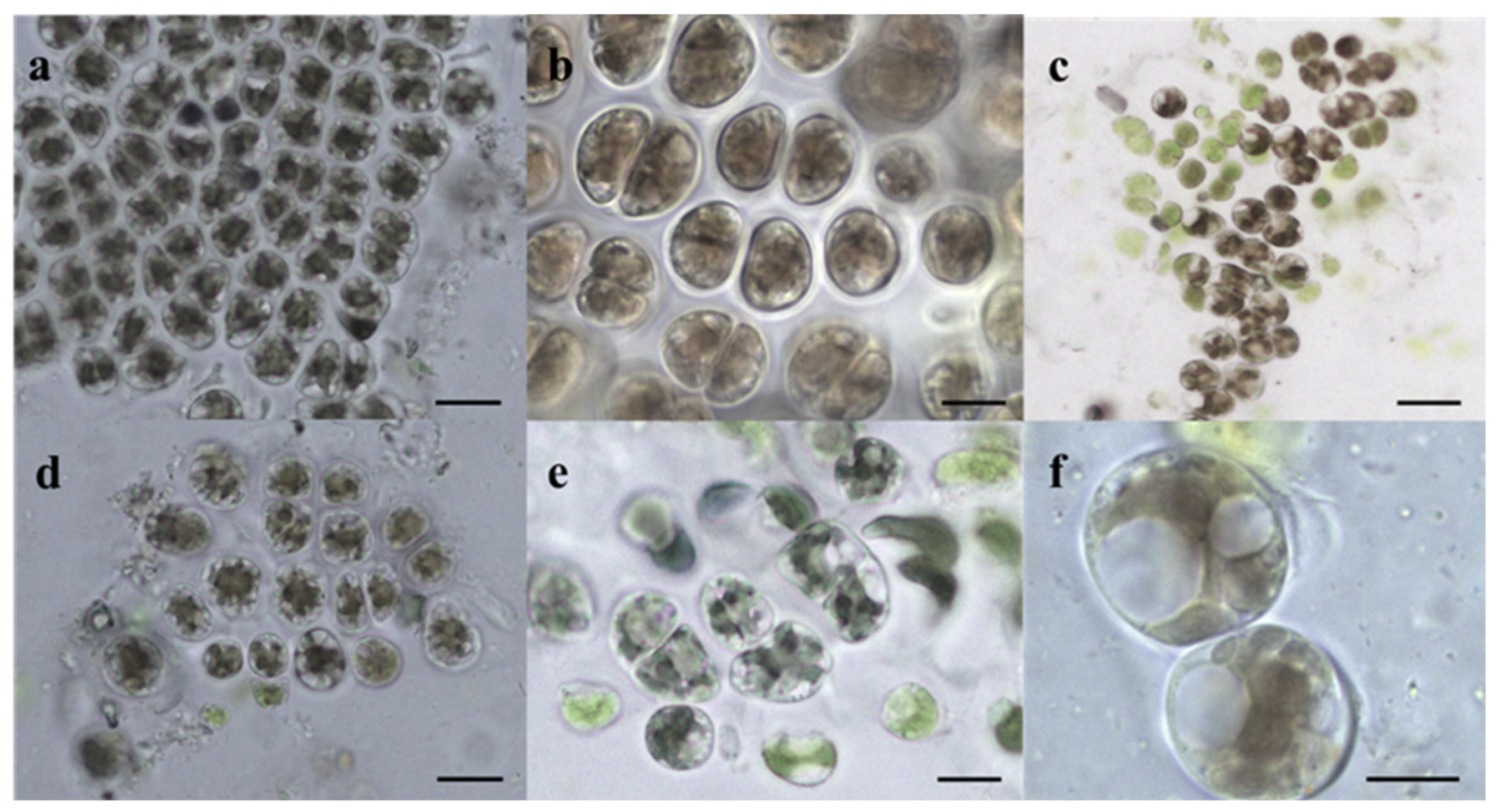 Water 14 02175 g003 Water 14 02175 g003