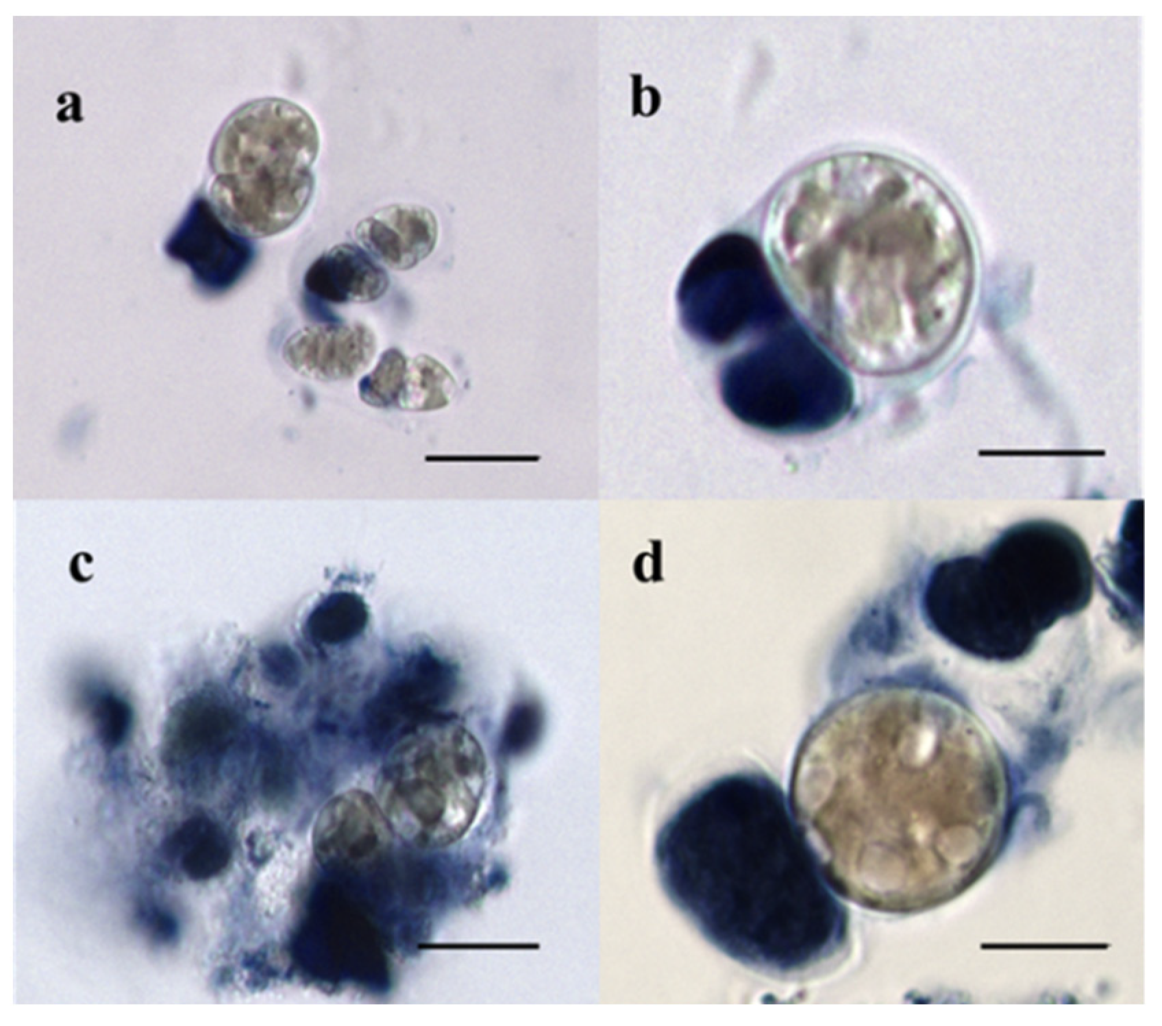 Water 14 02175 g004 Water 14 02175 g004