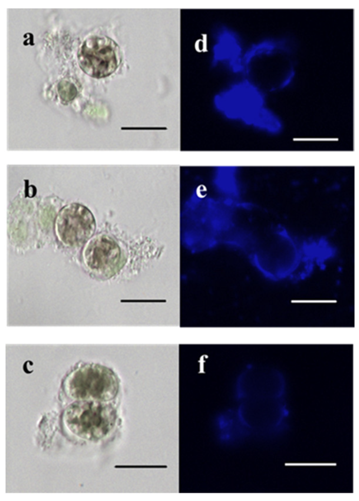 Water 14 02175 g005 Water 14 02175 g005