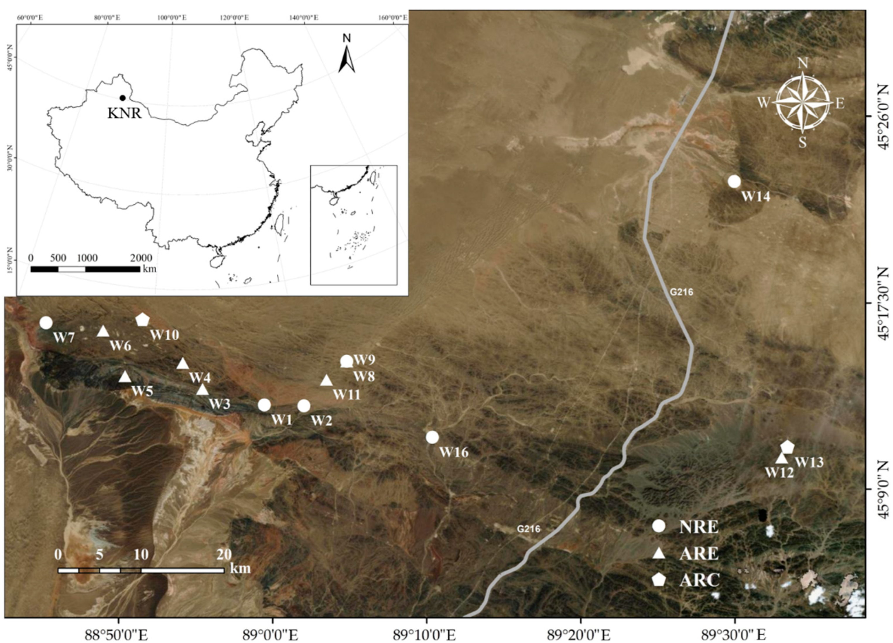 Water 14 02188 g001 550