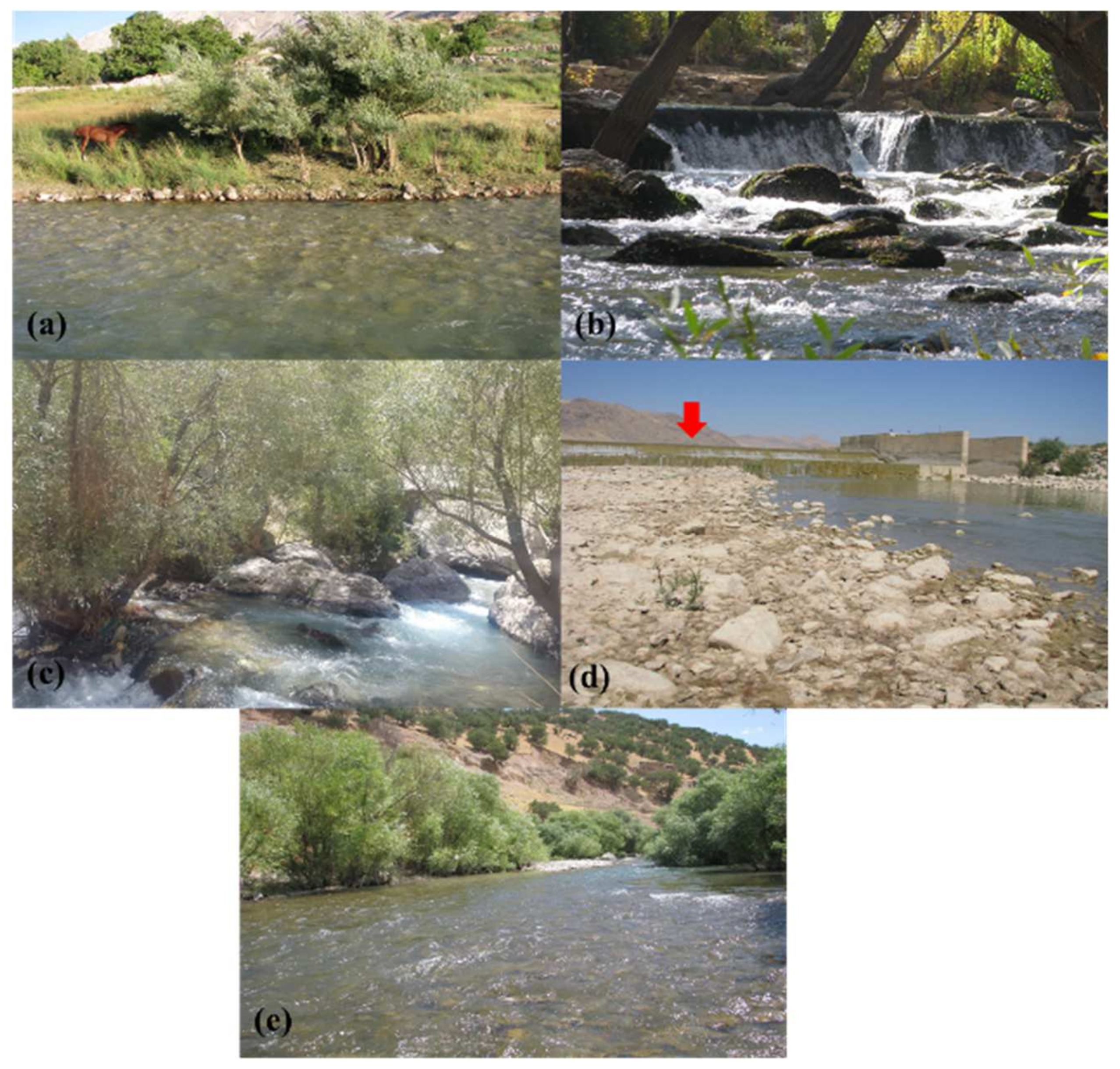 Water 14 02226 g005 Water 14 02226 g005