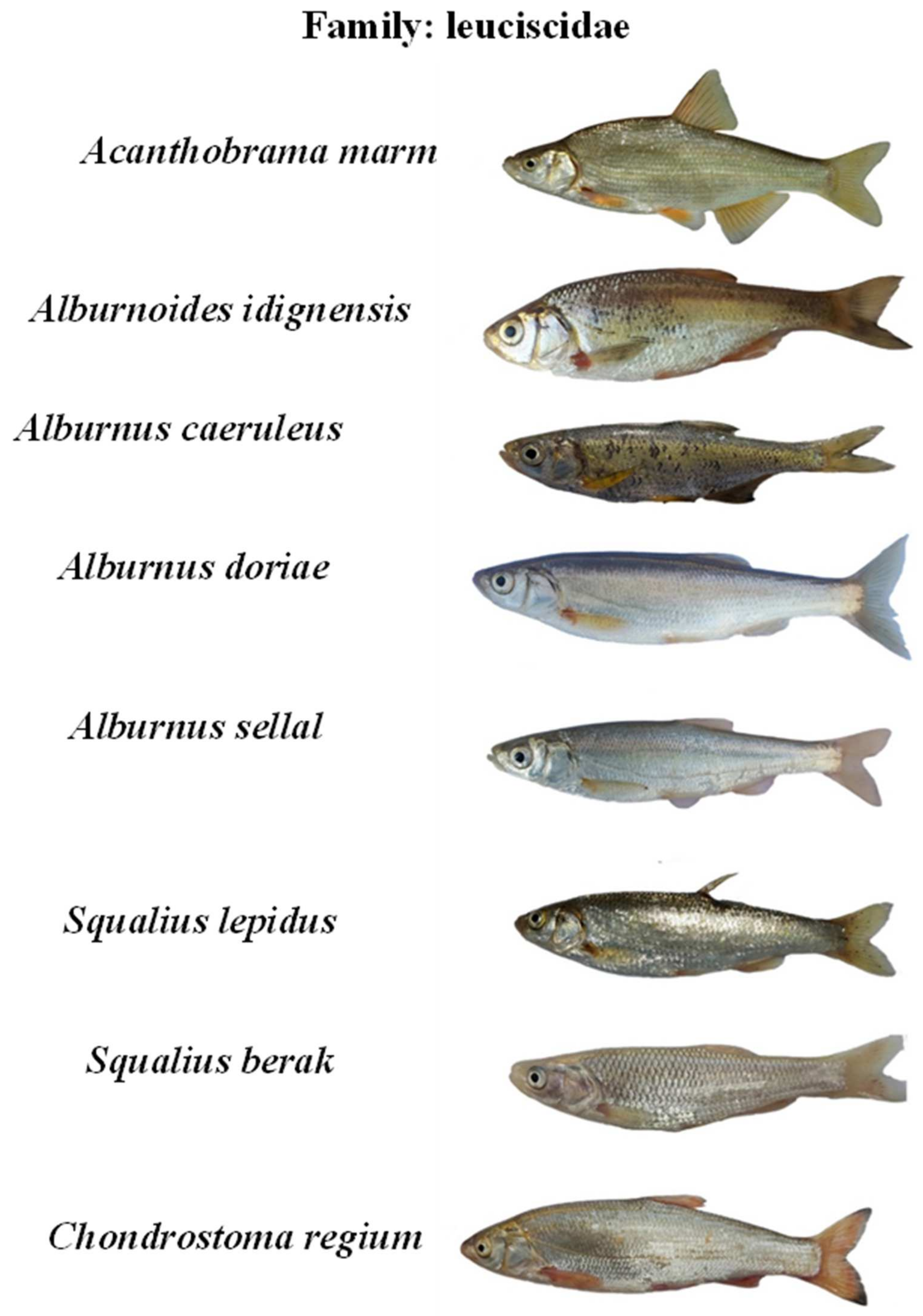 Water 14 02226 g0a1c Water 14 02226 g0a1c