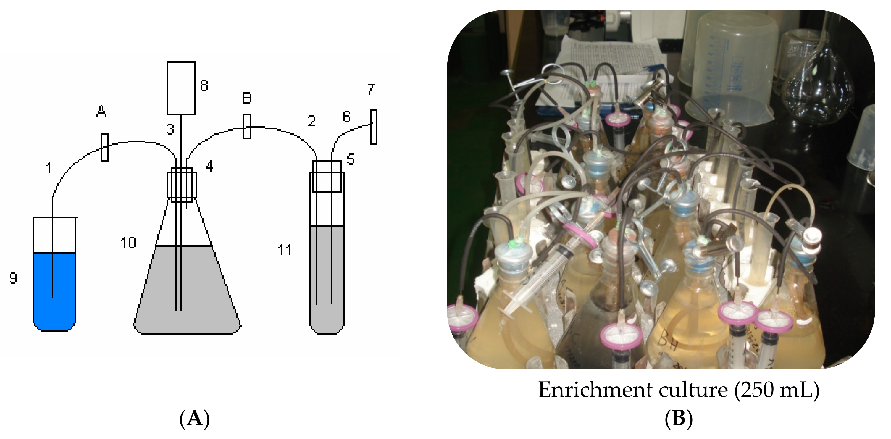 Water 14 02227 g001 550