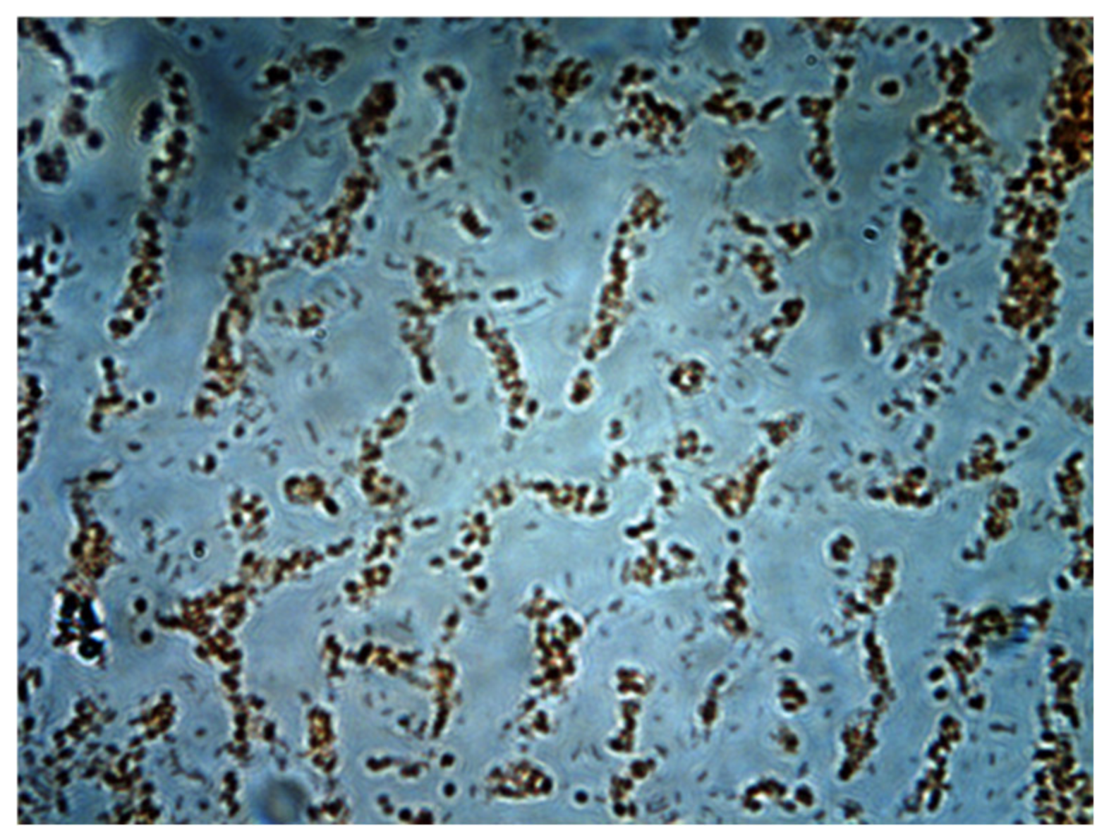 Water 14 02227 g013 550