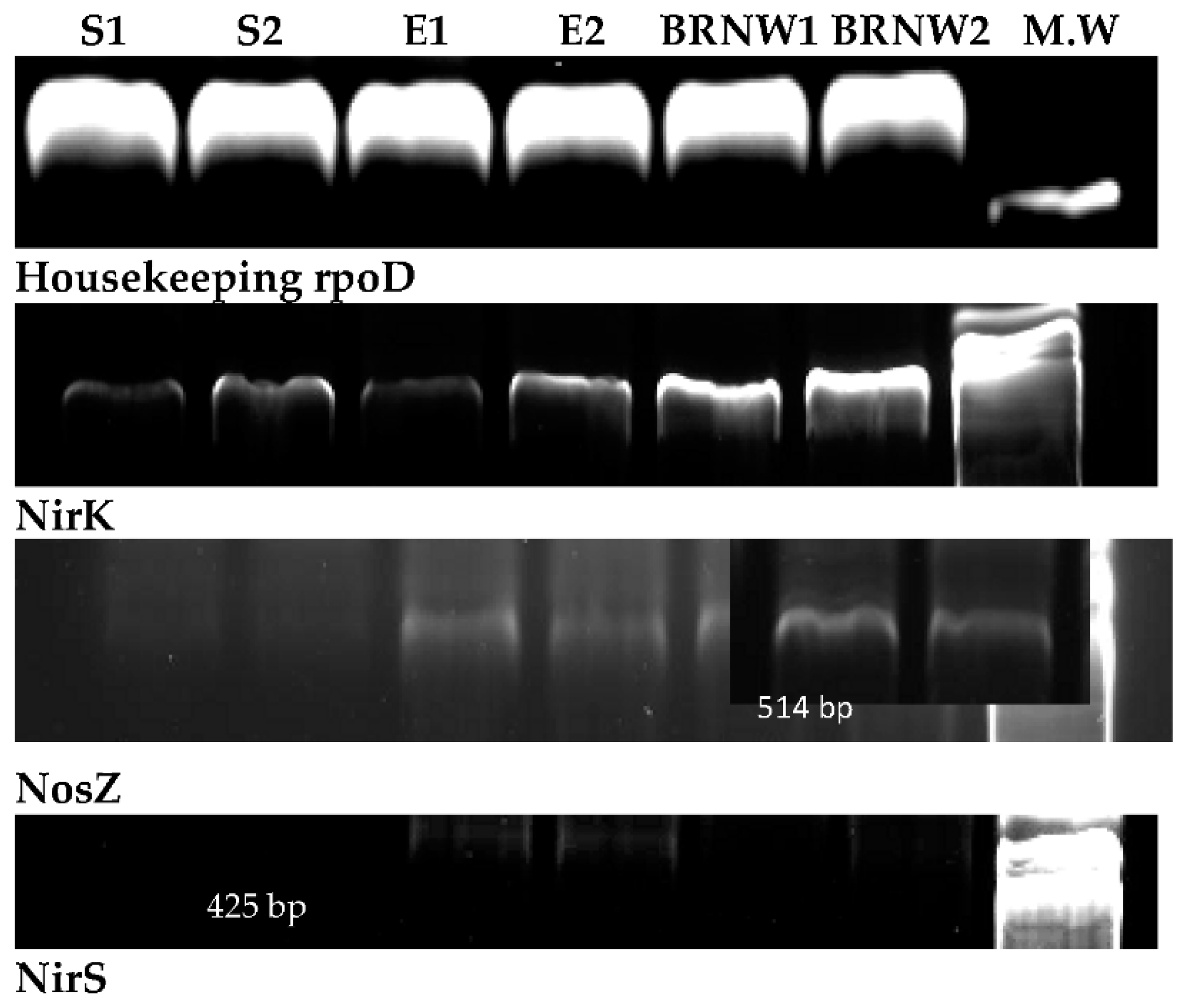 Water 14 02227 g015 550