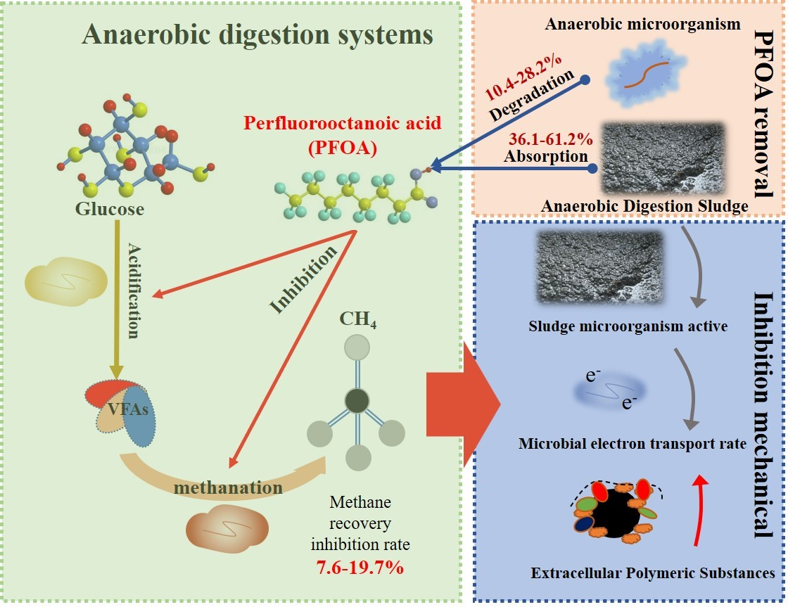 Water Free FullText Insight into the Impacts and Removal Pathways
