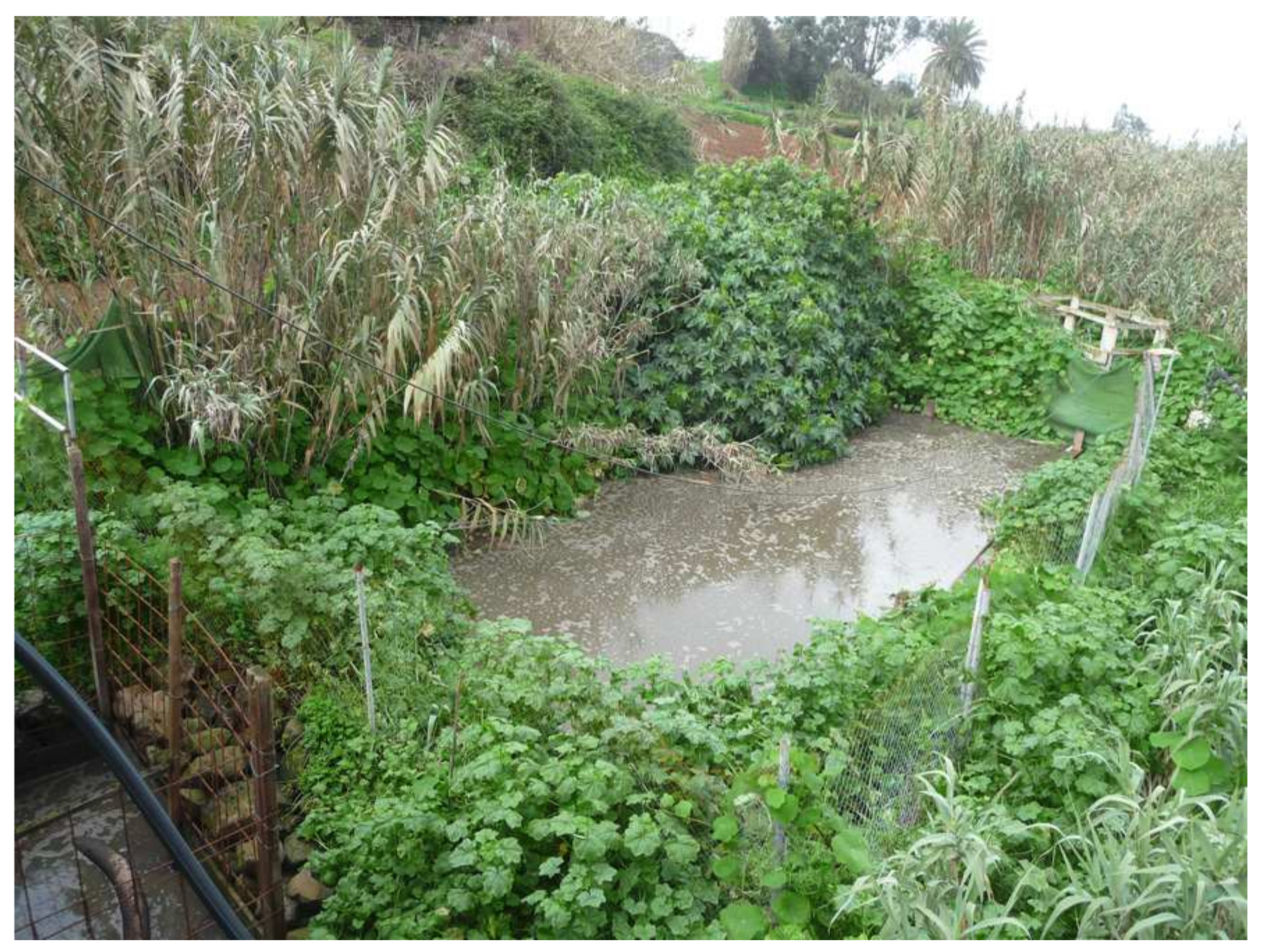 Water 14 02279 g008 Water 14 02279 g008