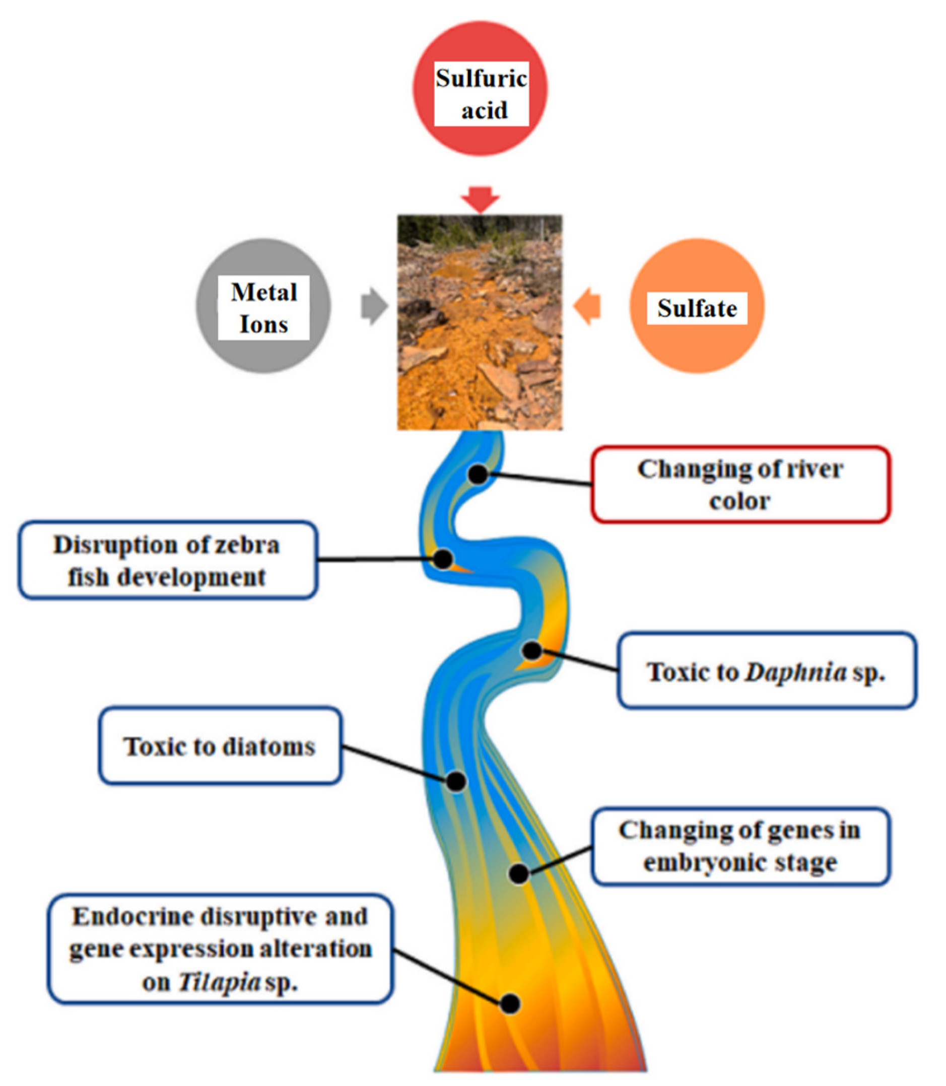Resource Utilization of Acid Mine Drainage (AMD): A Review Resource Utilization of Acid Mine Drainage (AMD): A Review