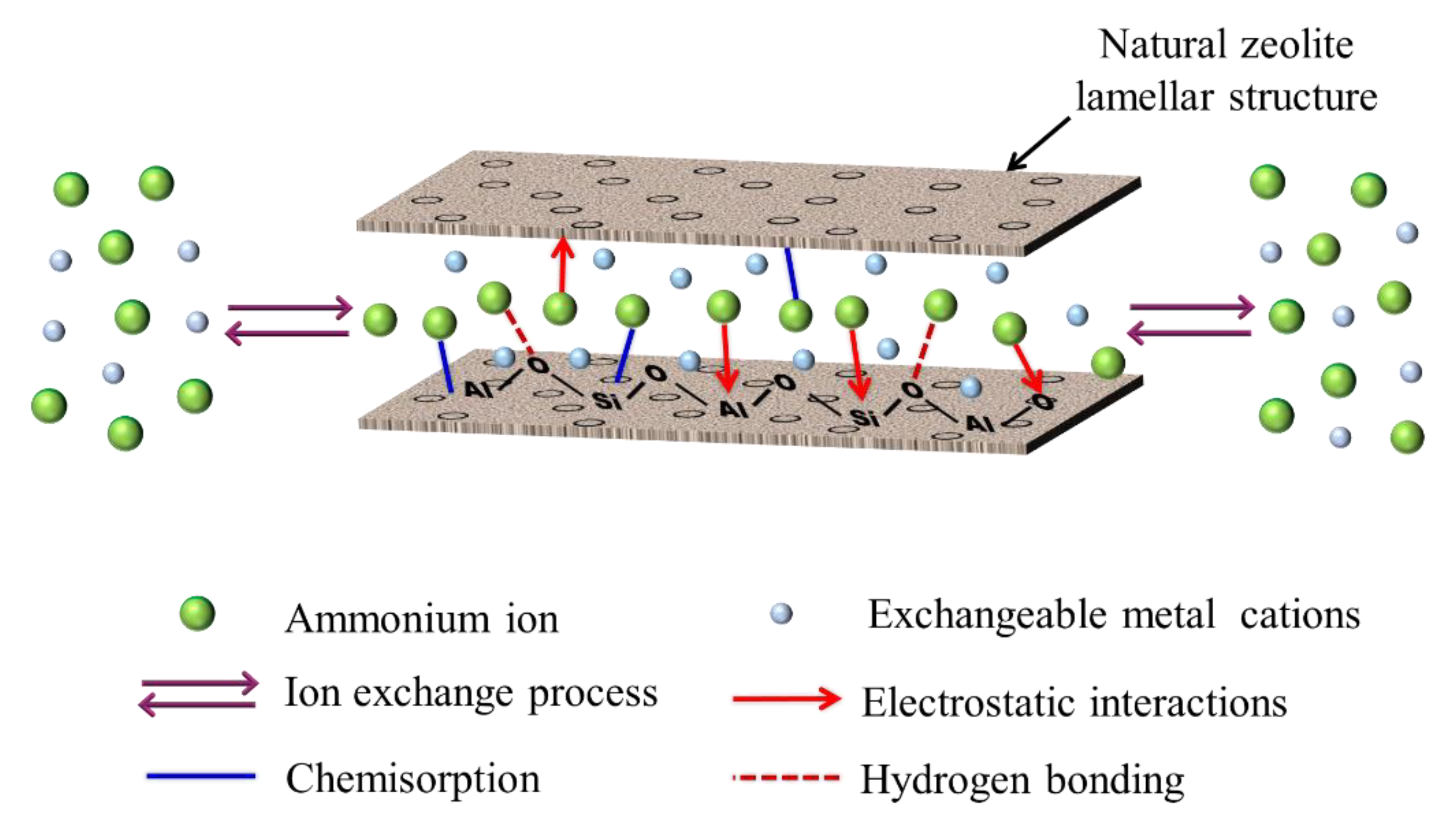 Water Free FullText Adsorption Mechanism of HighConcentration
