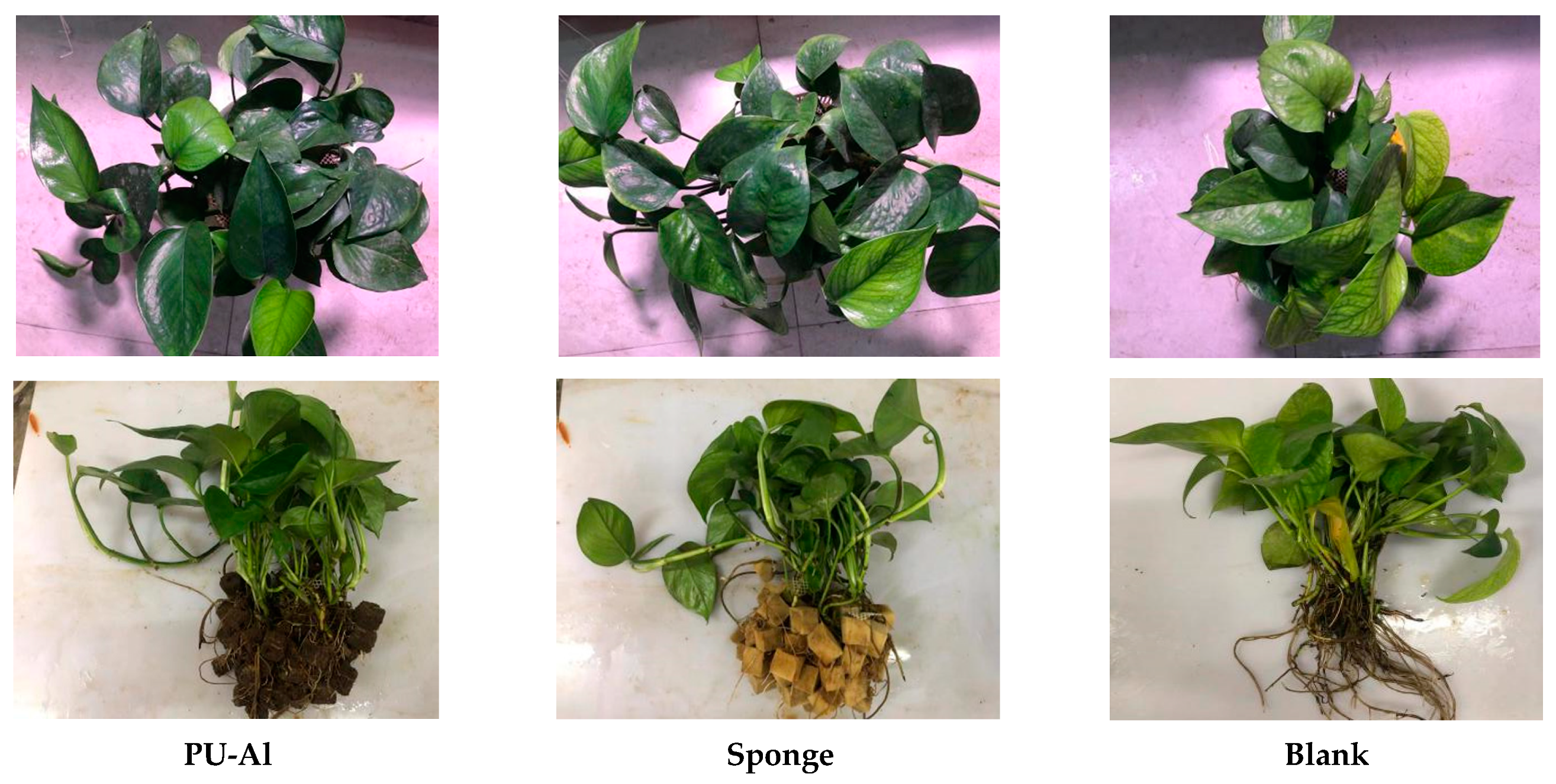 Water 14 02433 g007 550