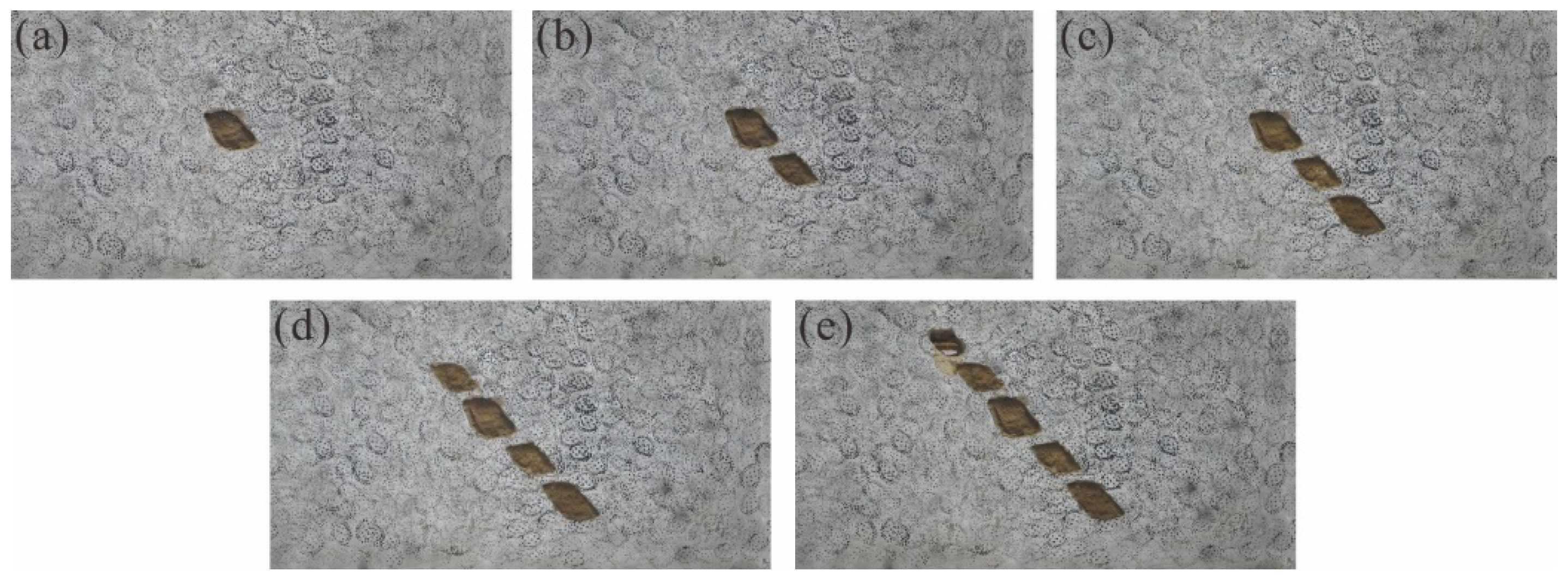 Water 14 02465 g003 550