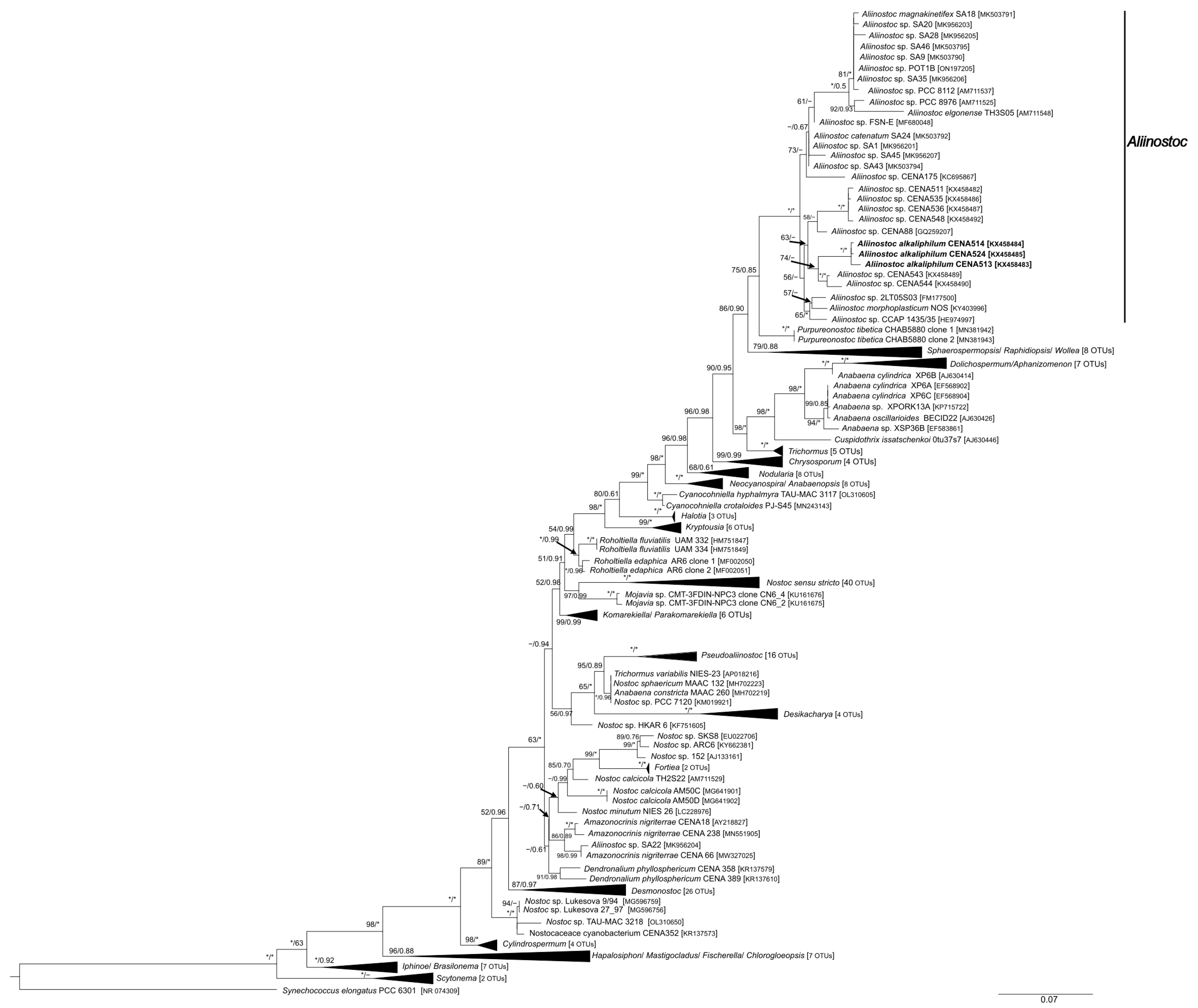 Water 14 02470 g003 550